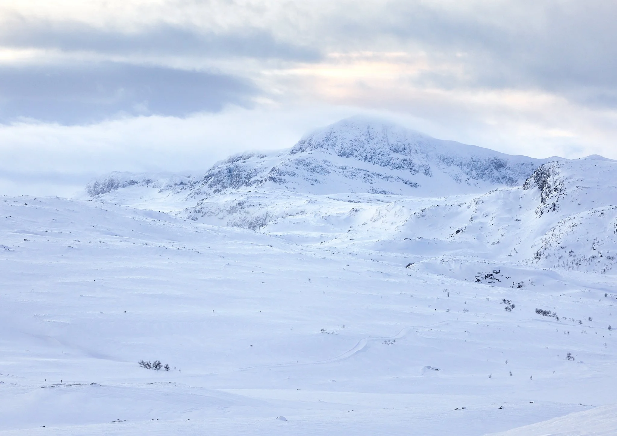 Bitihorn i vinden