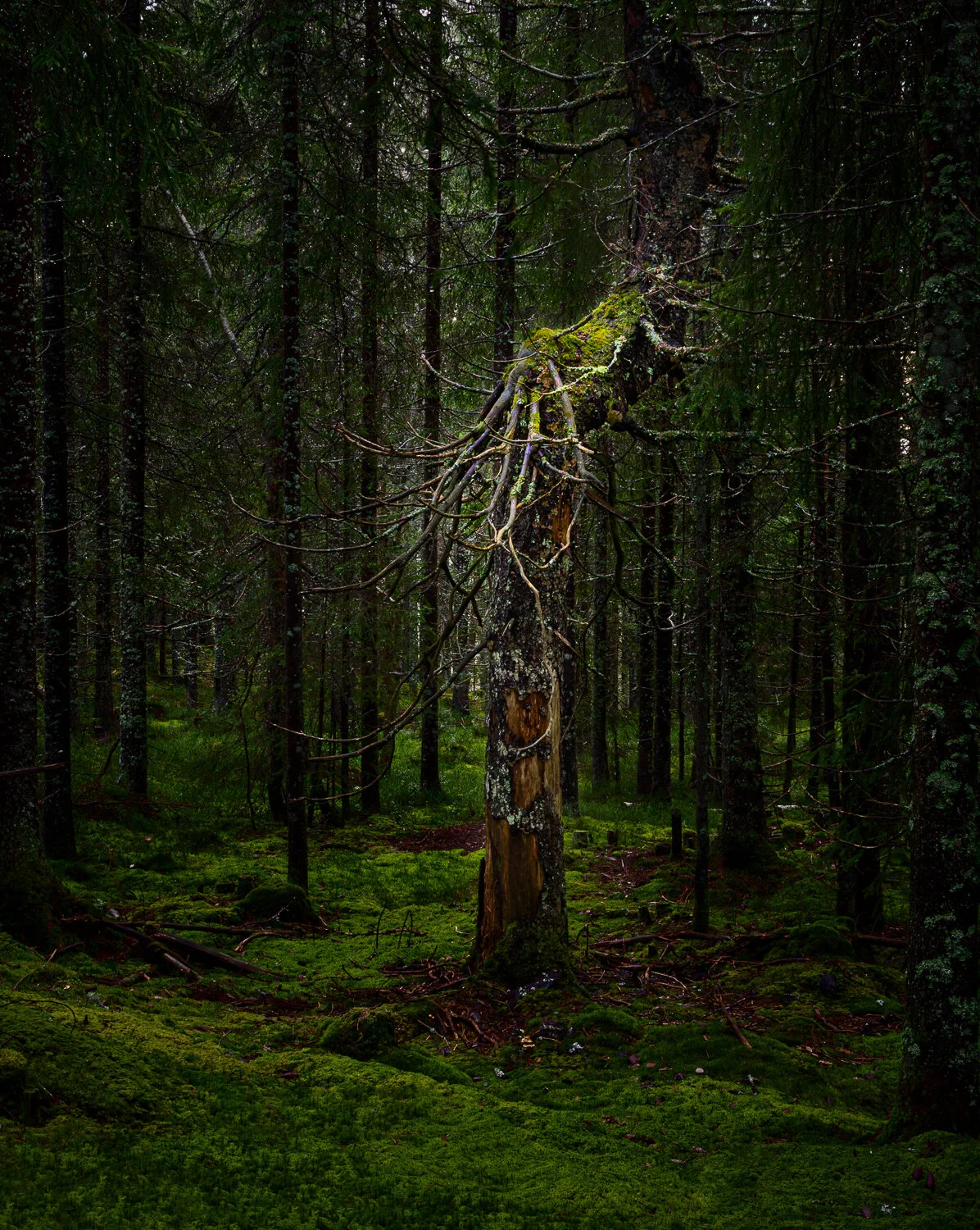 20201114_7233-Edit.jpg