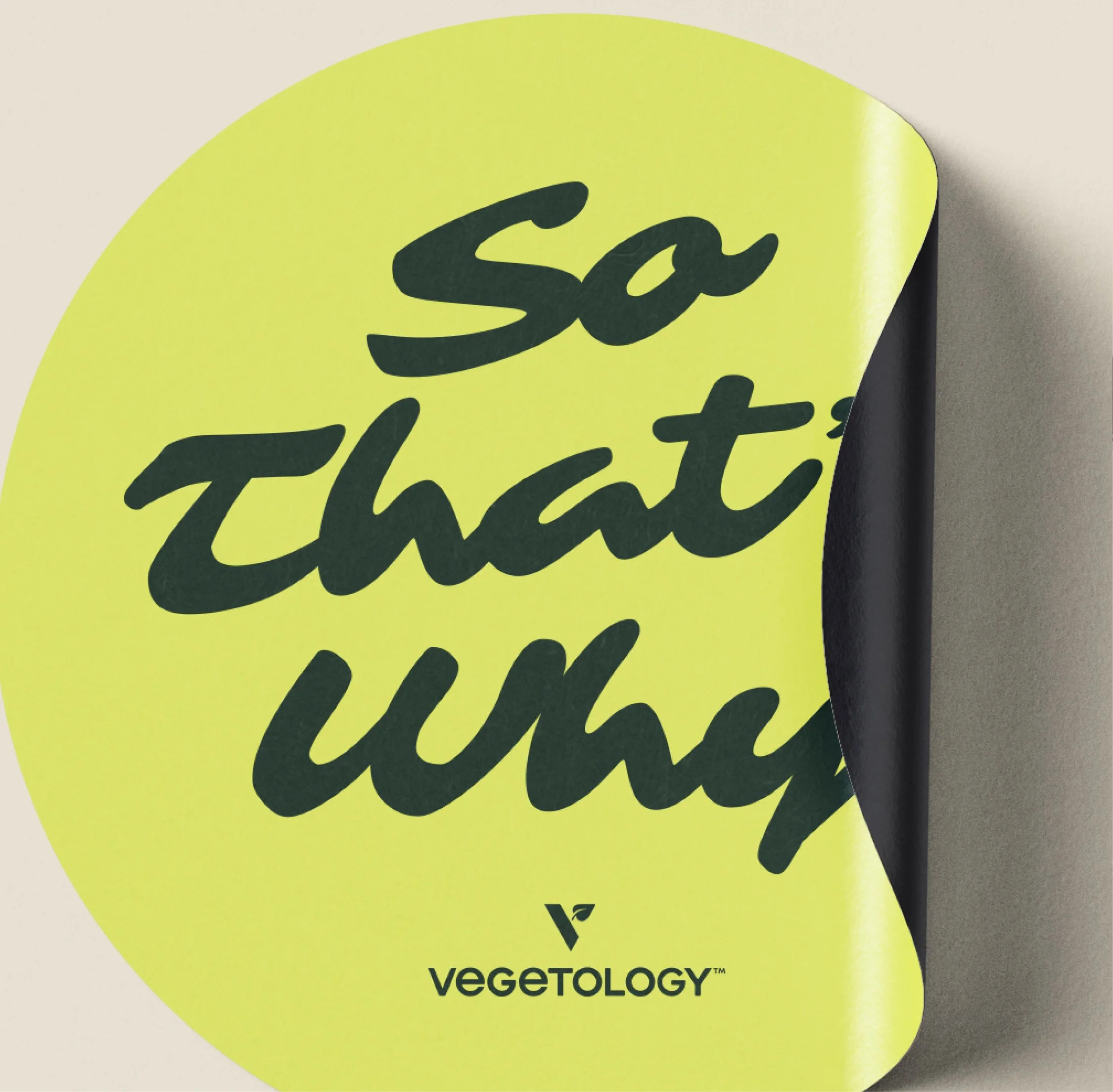 So That's Why Socials-12.jpg