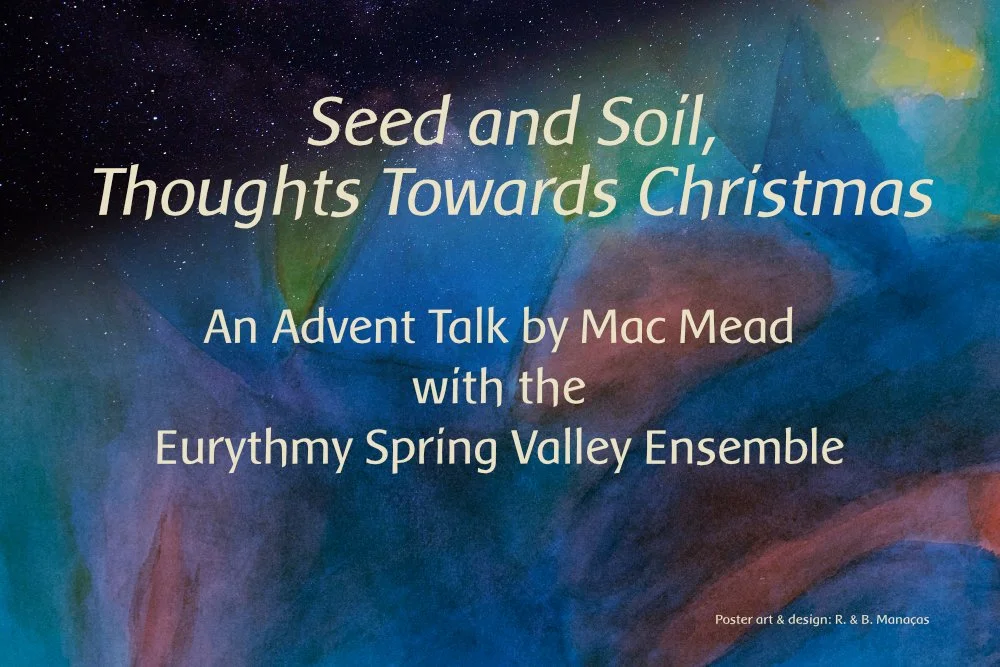 Demo Seed and Soil: Thoughts towards Christmas