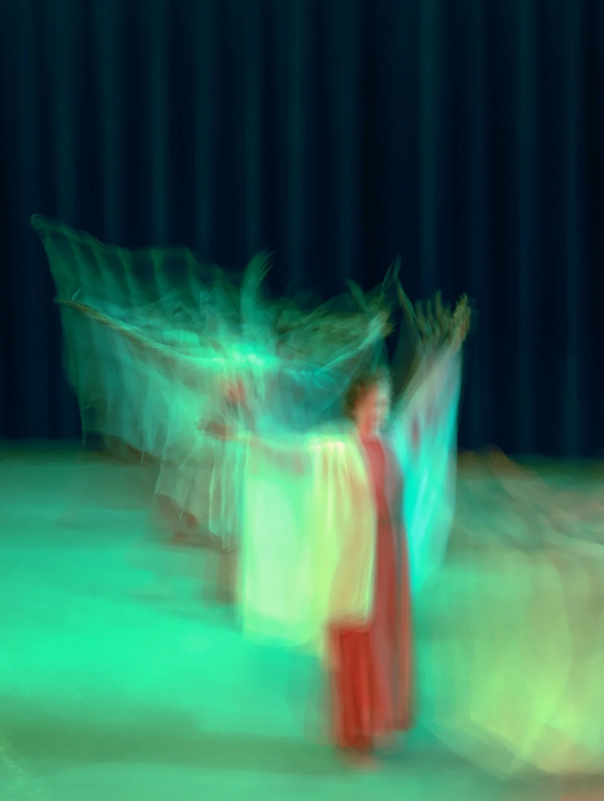 Eurythmy Spring Valley Studio Program