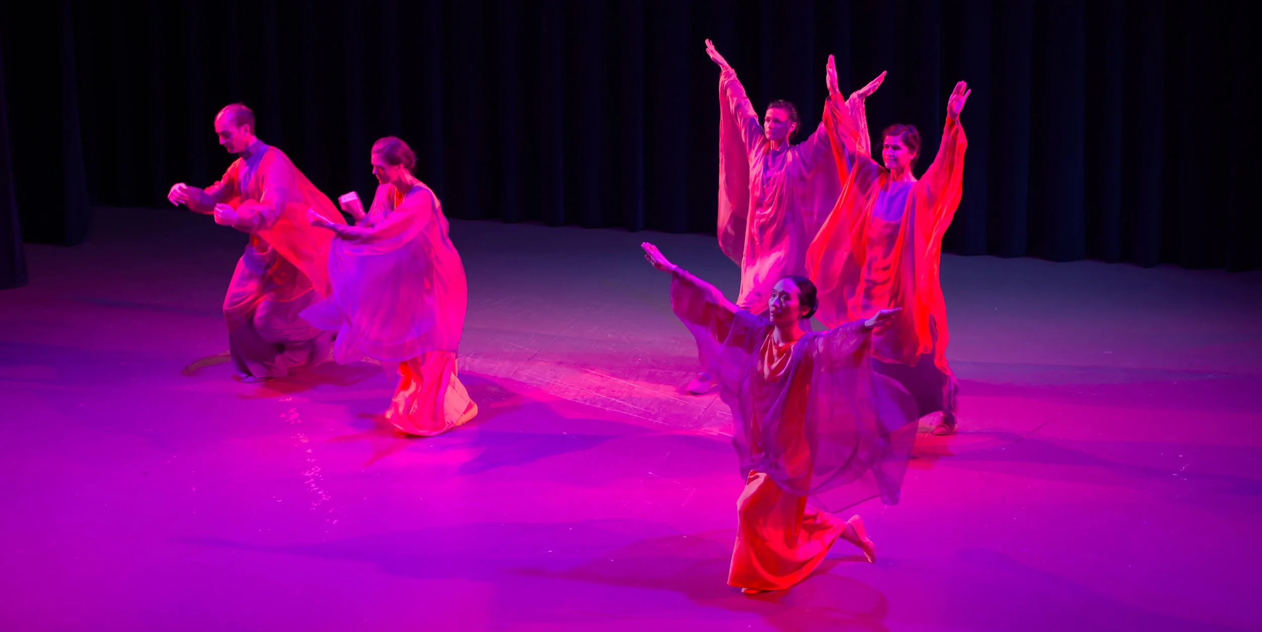 Eurythmy Spring Valley Ensemble's Evening Performance