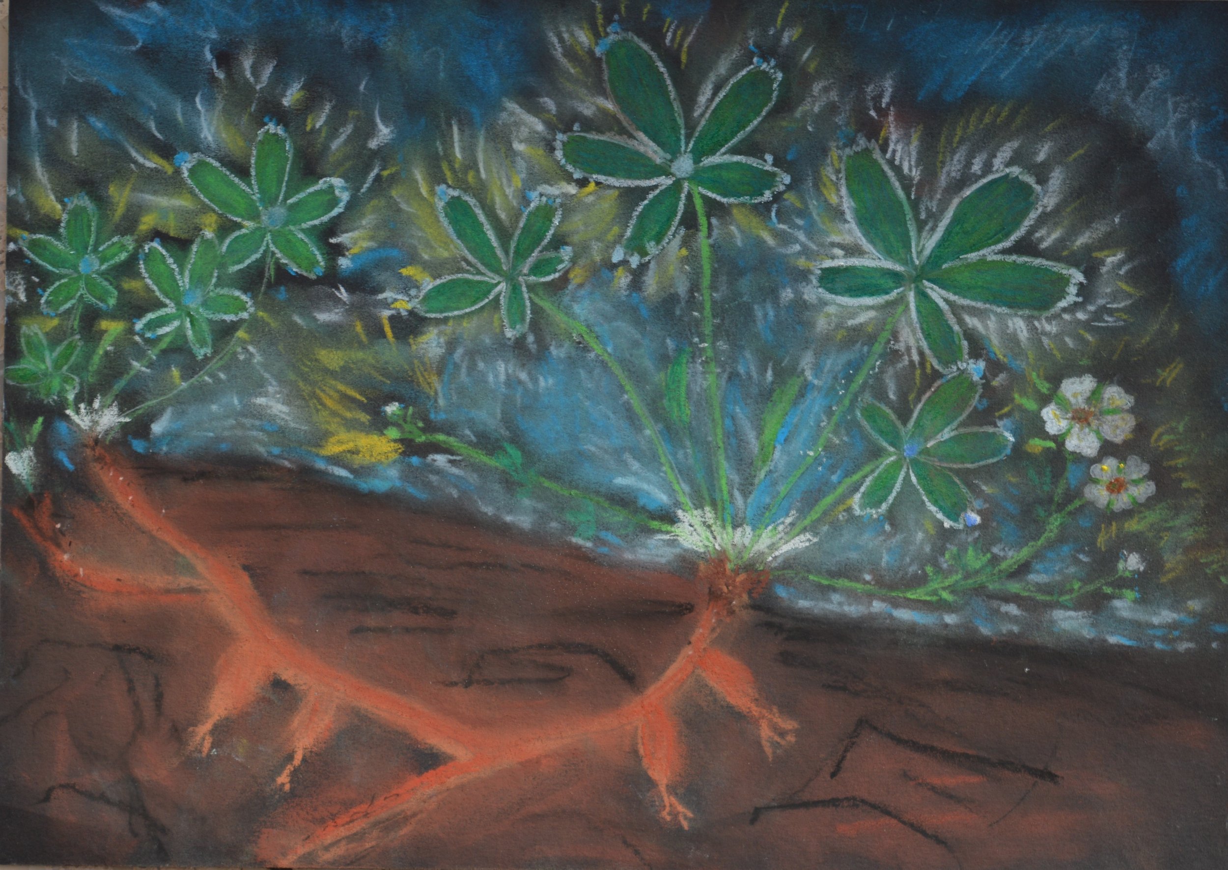 White Cinquefoil in the Light of Goethean Science, and Its Healing of Thyroid Gland