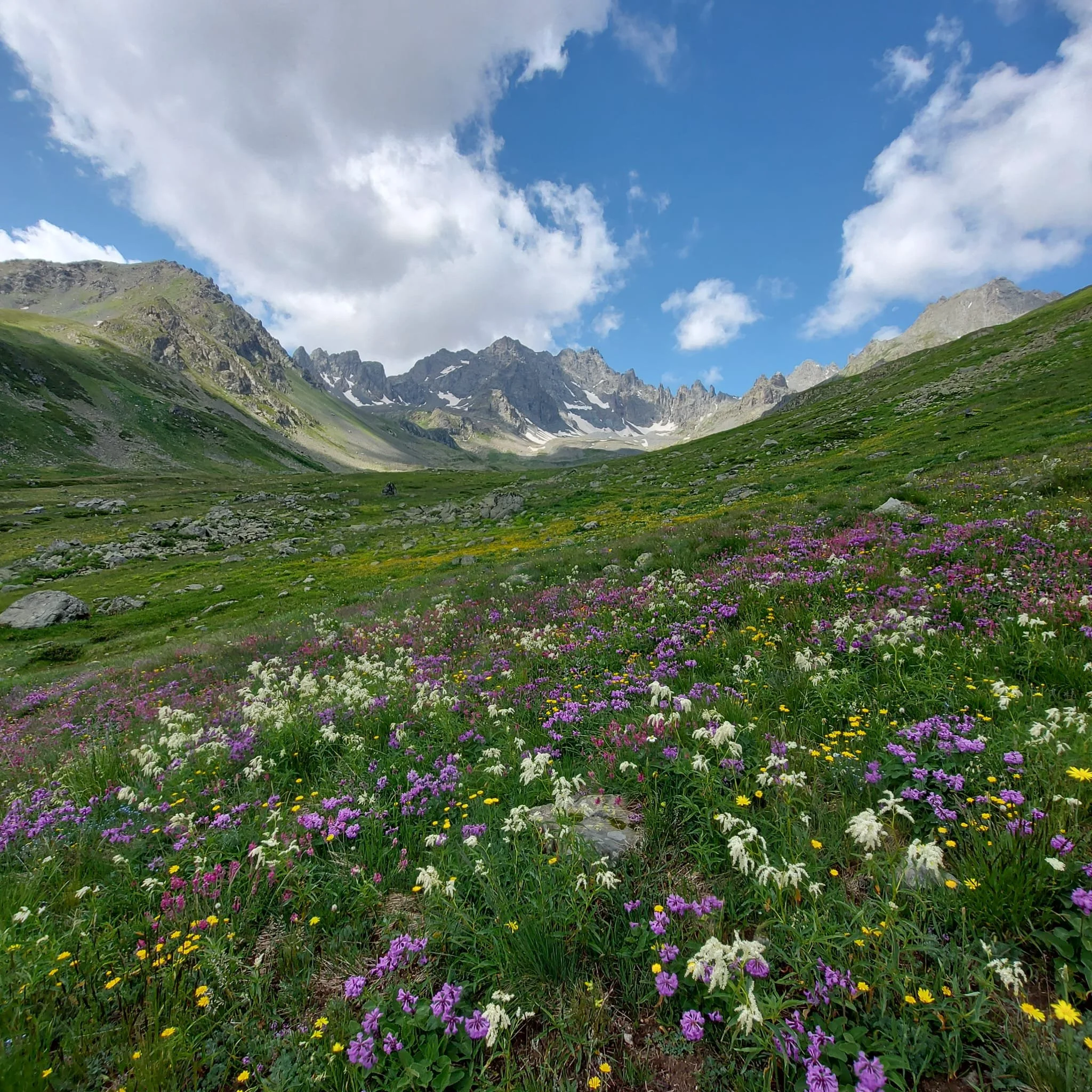 Sing Along Your Favorite Songs from The Sound of Music!