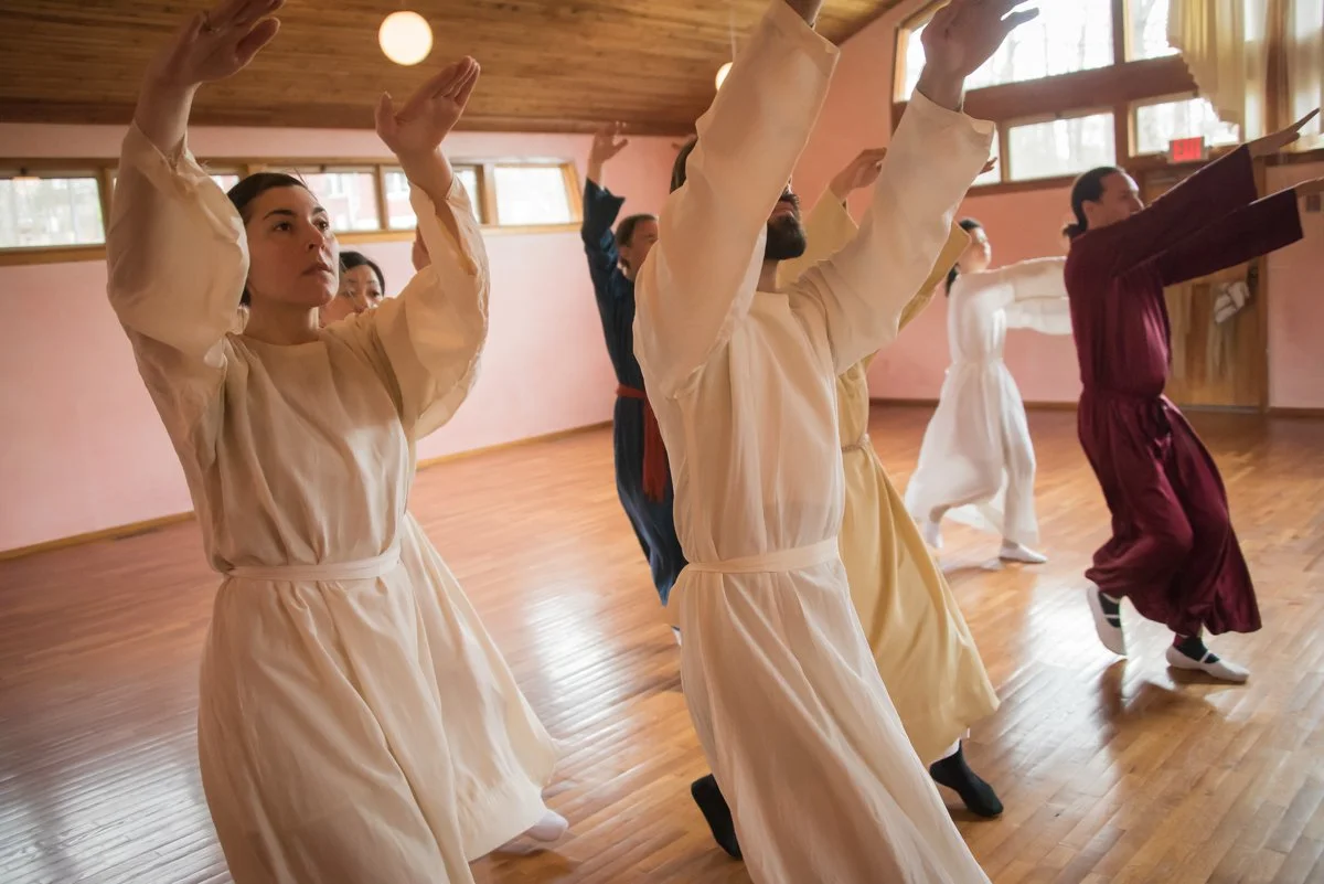 ESV Open Day: A Morning Inside the Eurythmy Training for Prospective Students
