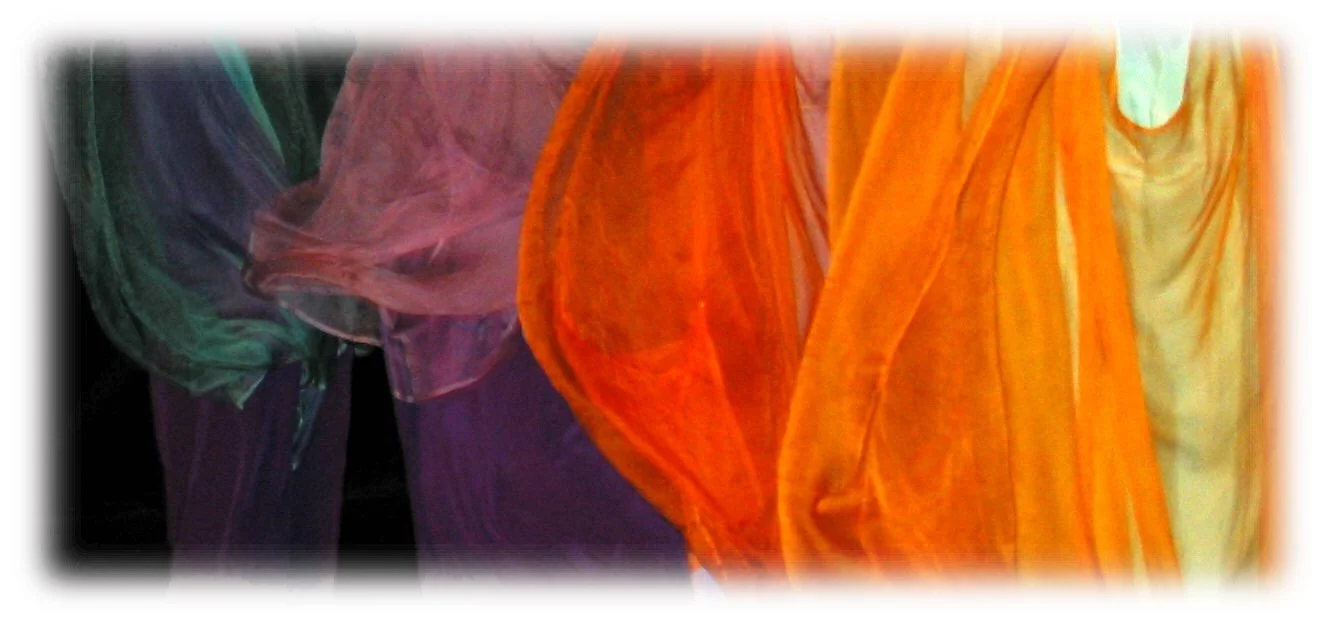 Winter Tone Eurythmy Retreat with Dorothea Mier for Professional Eurythmists