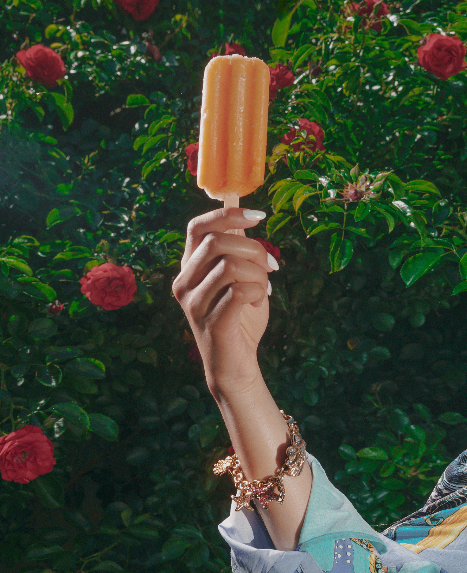 Screen Shot 2021-07-30 at 11.13.29 AM.png