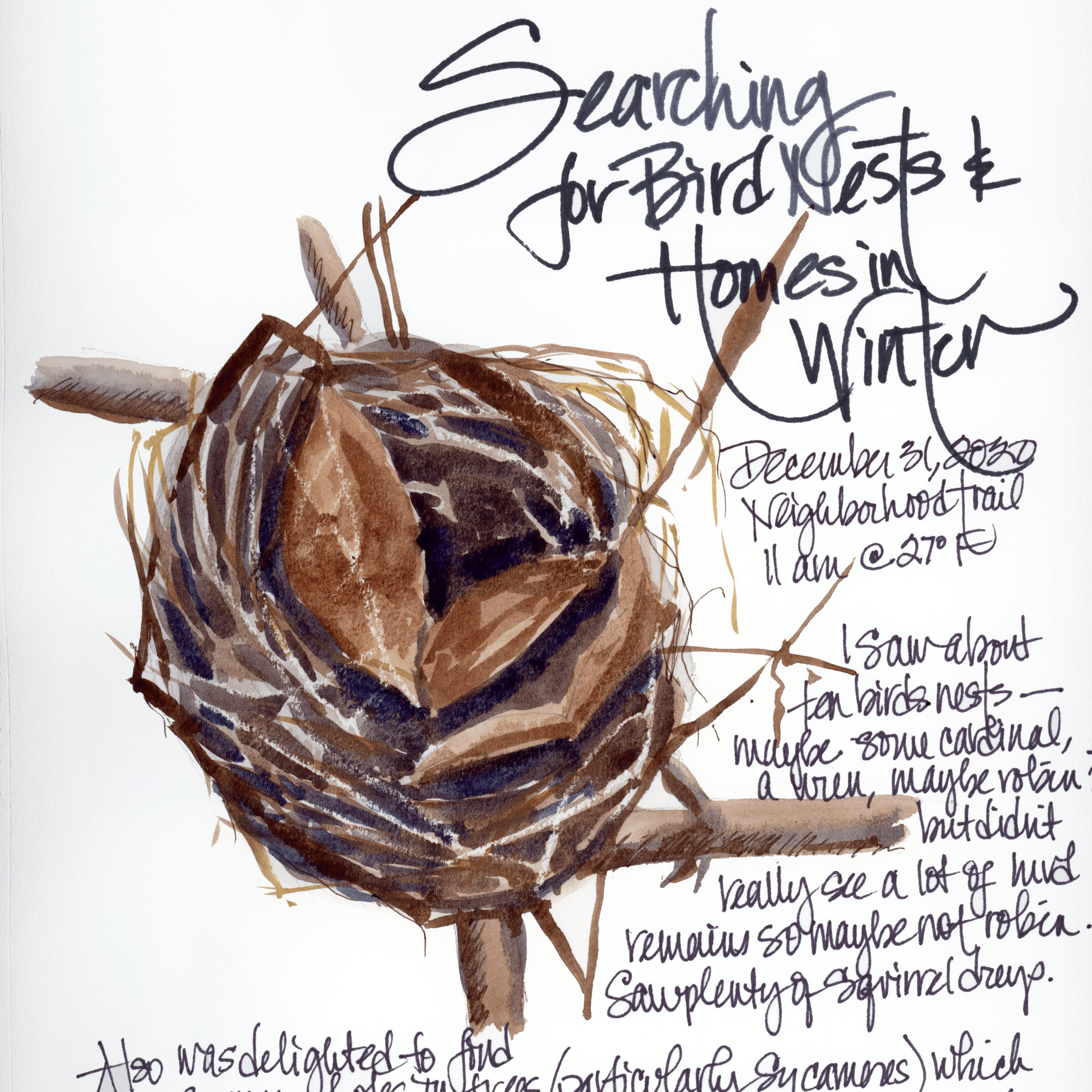 The art of the bird…