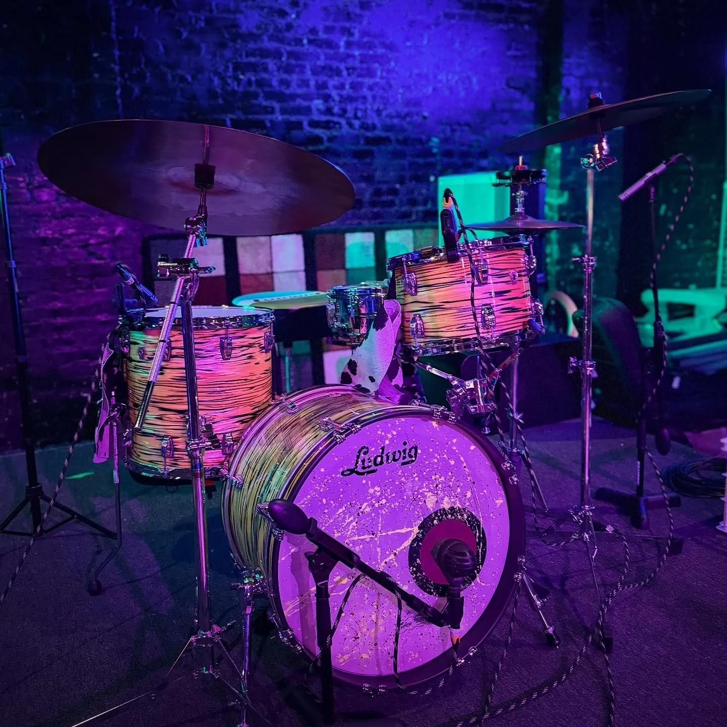 This kit always looks so nice on stage 😍 20/12/14 Lemon Oyster Classic Maple @ludwigdrumshq 

#ludwigdrums #drums #music
