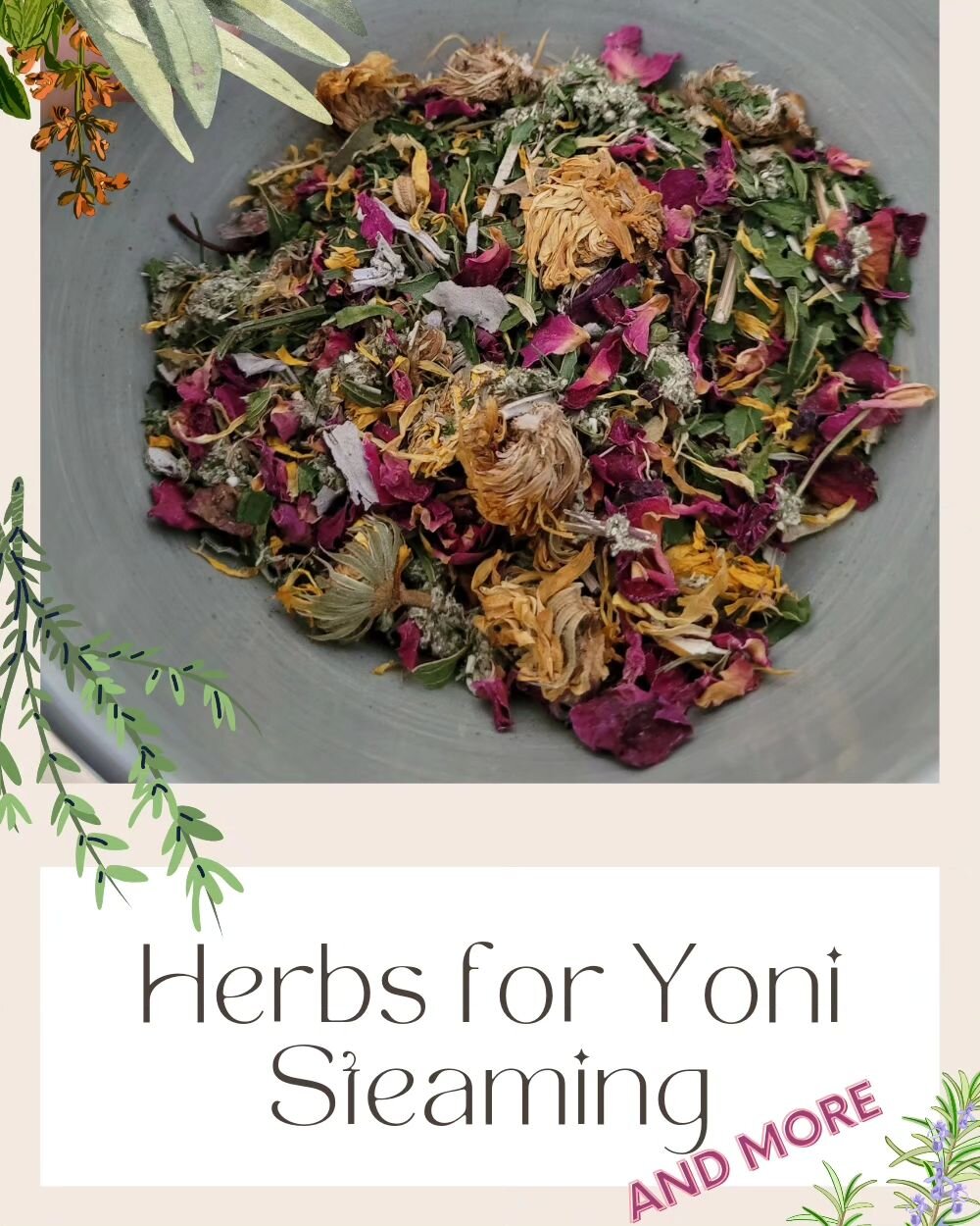 Many of the herbs used in vaginal steaming can also be used in teas,baths, in food and in spiritual and ritual work!

My most popular blog post outlines my top herbs and different ways they are used. Take a read!
Link in bio.

What are your favorite 