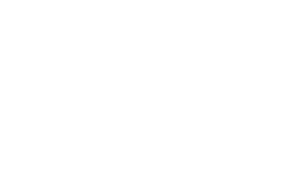Wiresecure