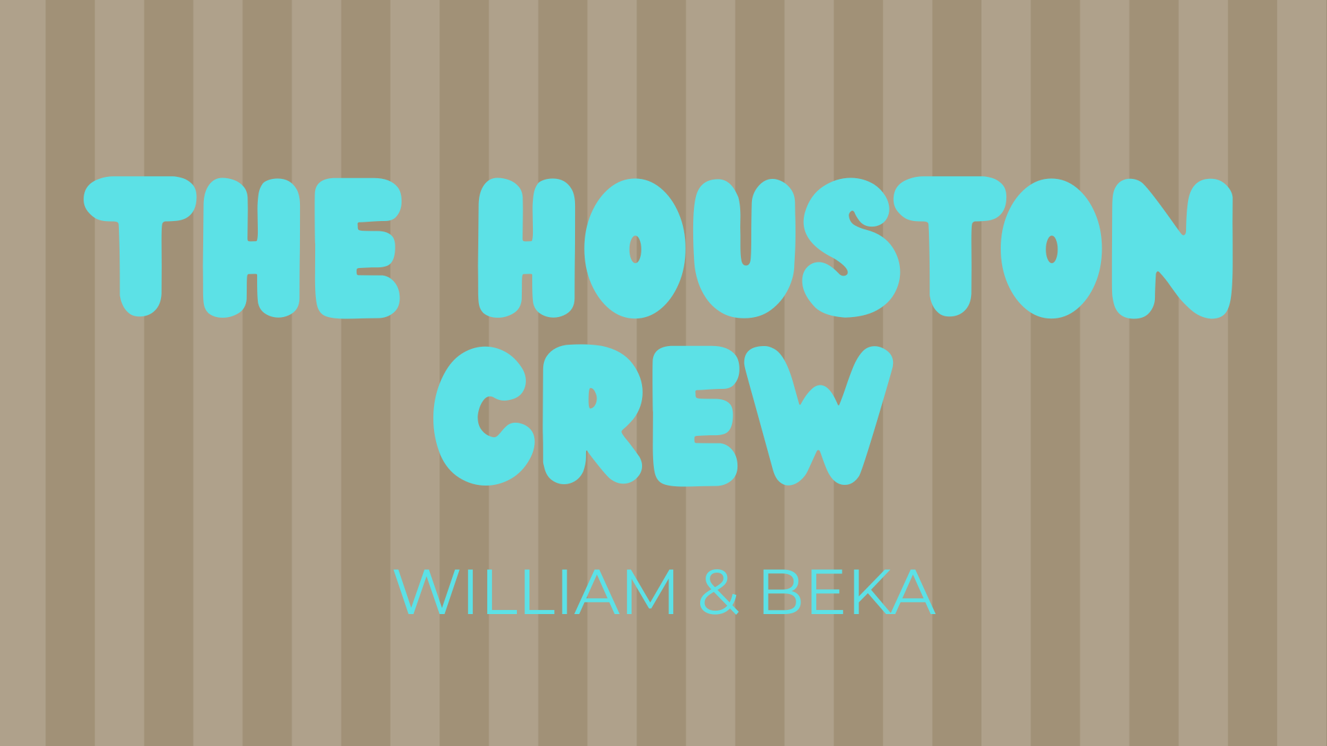 Book cover titled 'The Houston Crew' by William & Beka with a beige background and vertical stripes.