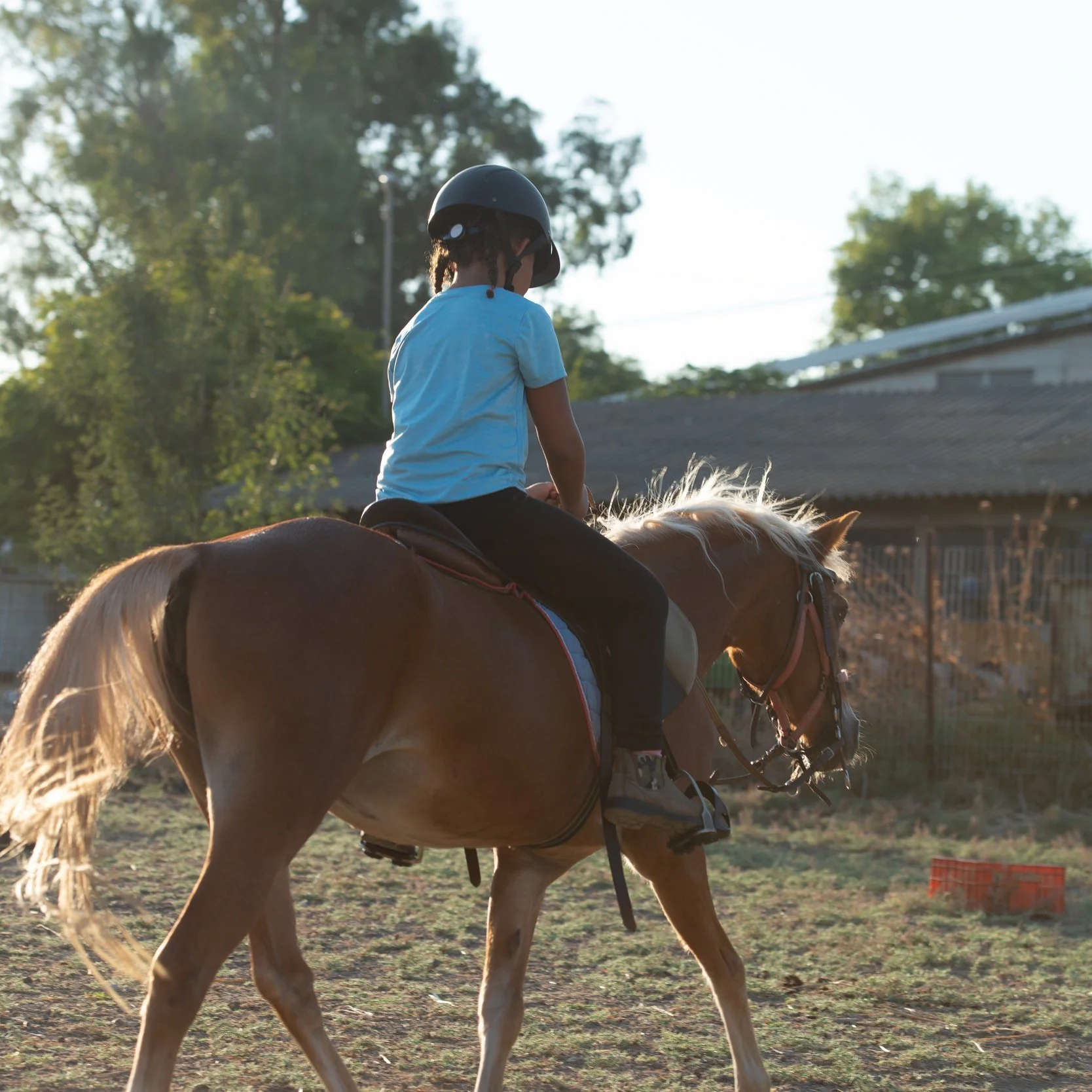 Dude Ranch Vacations