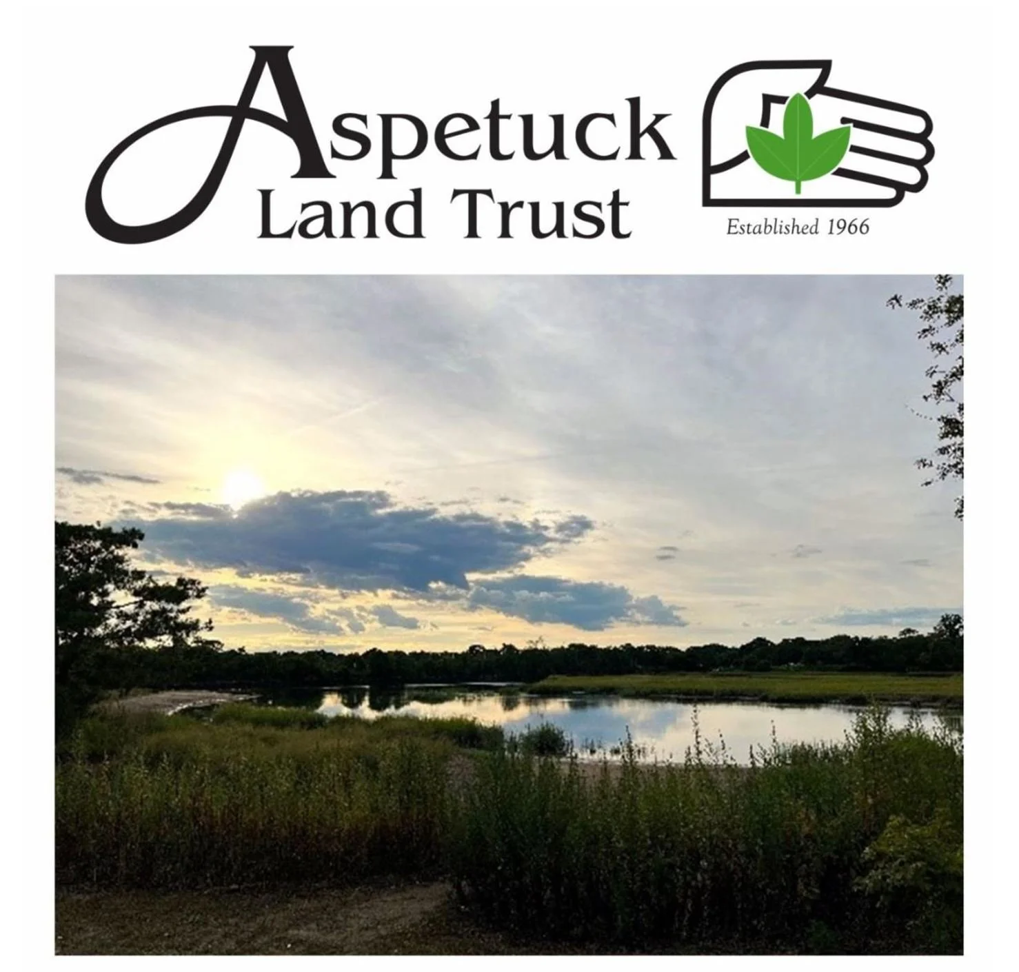 Bird Walk Sponsored by Aspetuck Land Trust