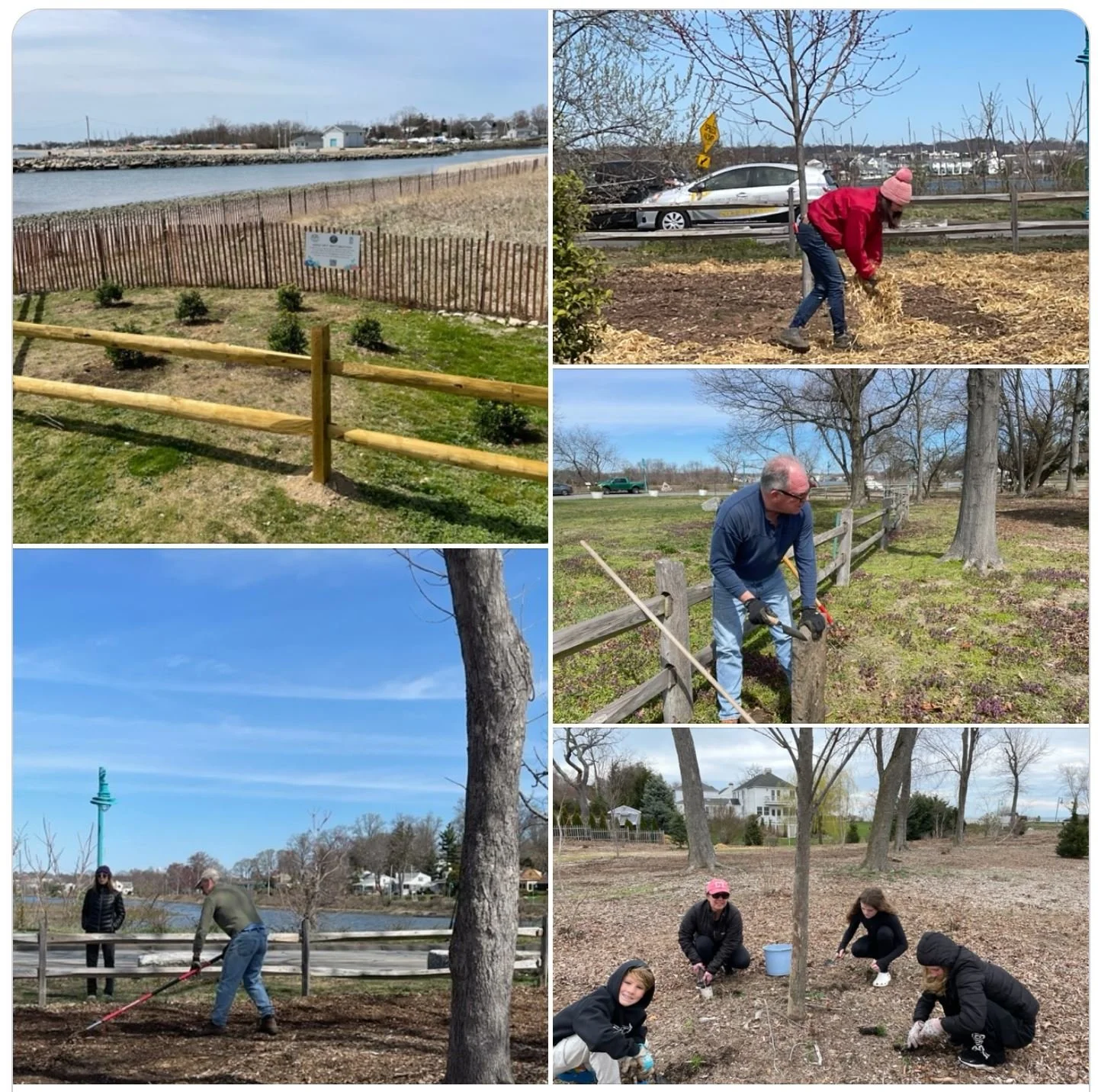 April Plantings at Barrier Spit &amp; Preserve
