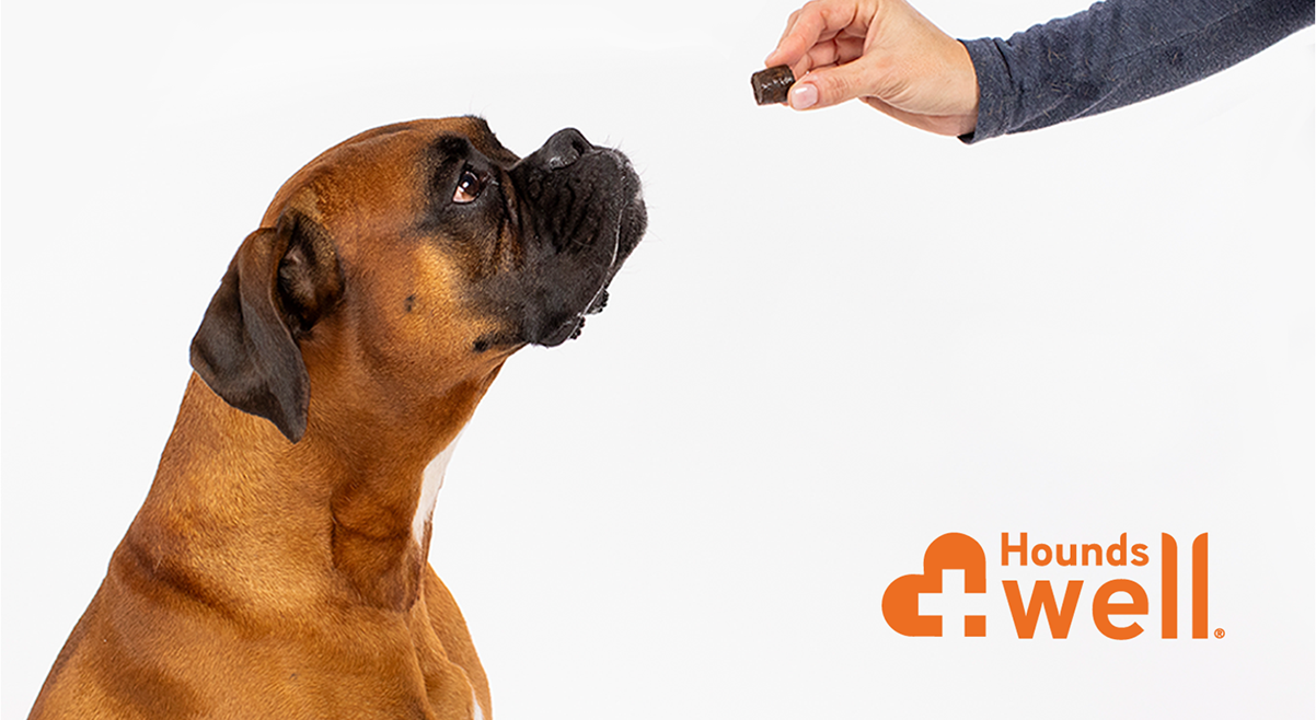 Do I Tip Dog Groomer: Essential Guide to Gratuity Etiquette