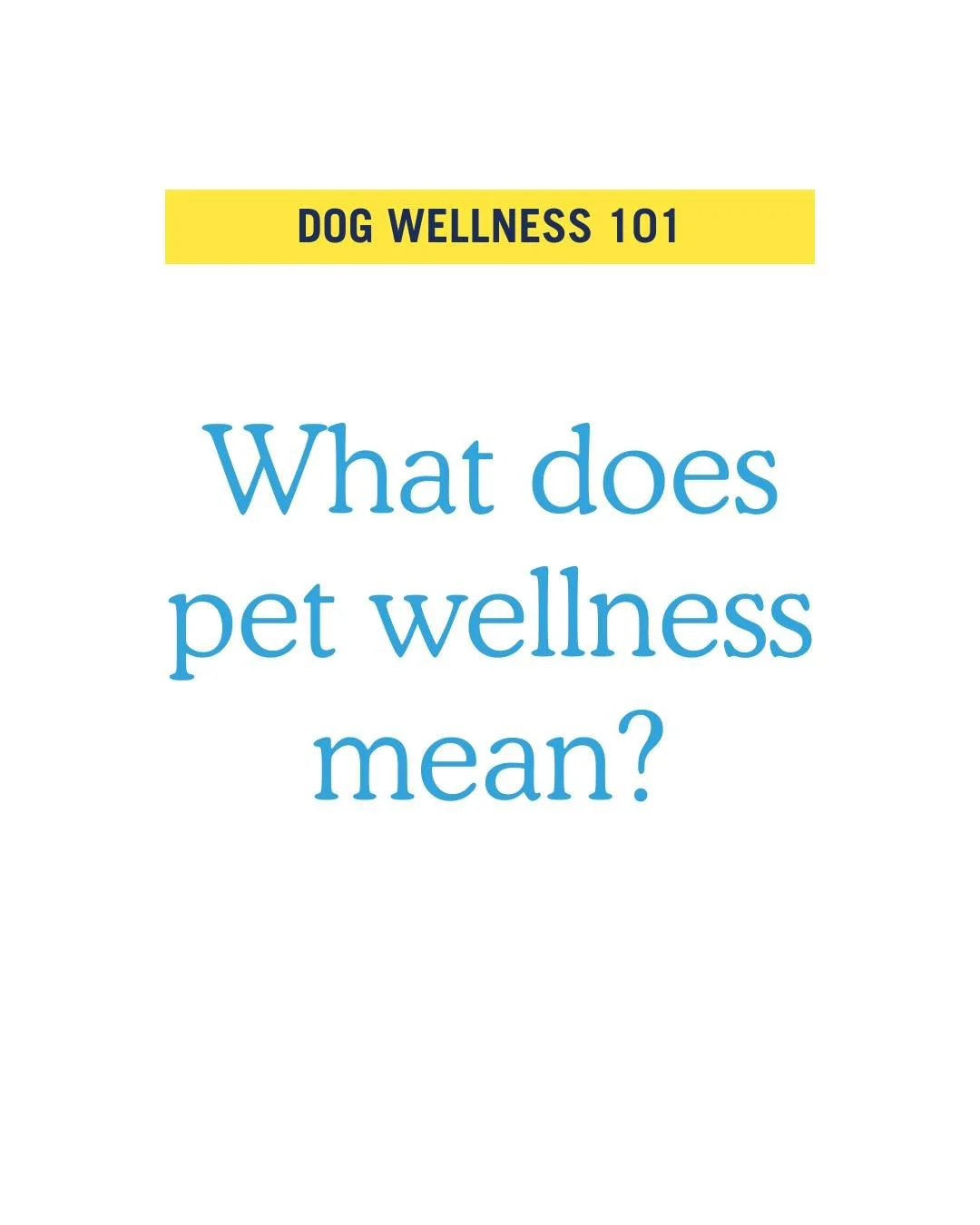 Not fancy. Regular things, regularly, aka ROUTINE HYGIENE. 🐾 For pups, that means clean skin and coat, calm ears, quiet paws, fresh mouth. ✨ For dog parents, that means less guessing (and less stress)!

Check out our app to book your pup's routine h