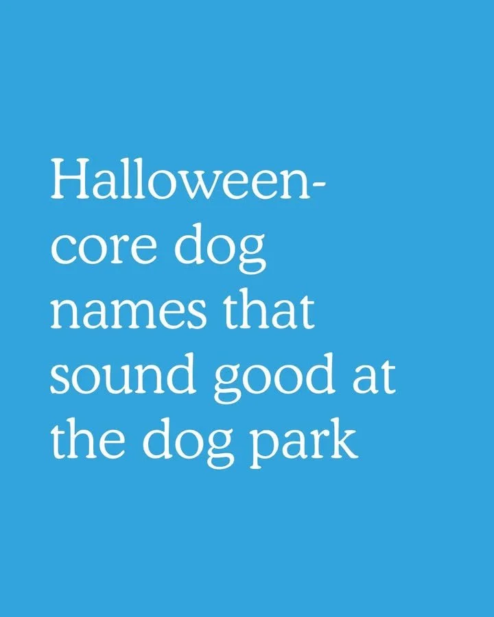 Did we miss a favorite? Drop your spooky dog name below. 👻 
#dognames #spookyseason