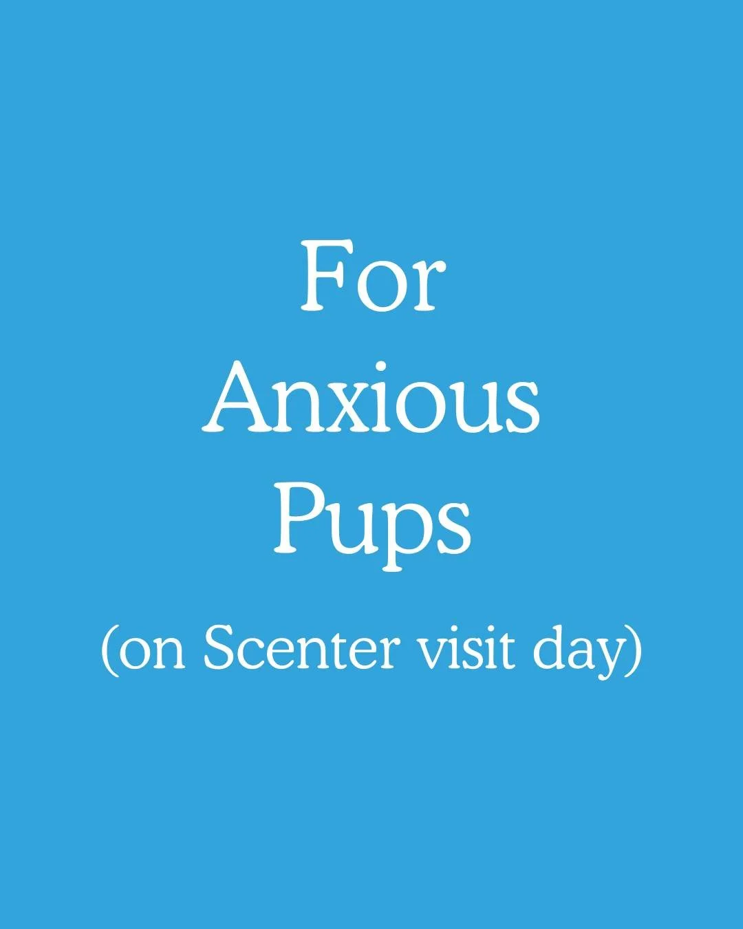 I’m not “dramatic,” I’m nervous 🐶  Visit day can feel big.  Anxious dogs aren’t “difficult”, they’re communicating. 
Every pup is different, so we rely on little things that make it familiar: an unhur