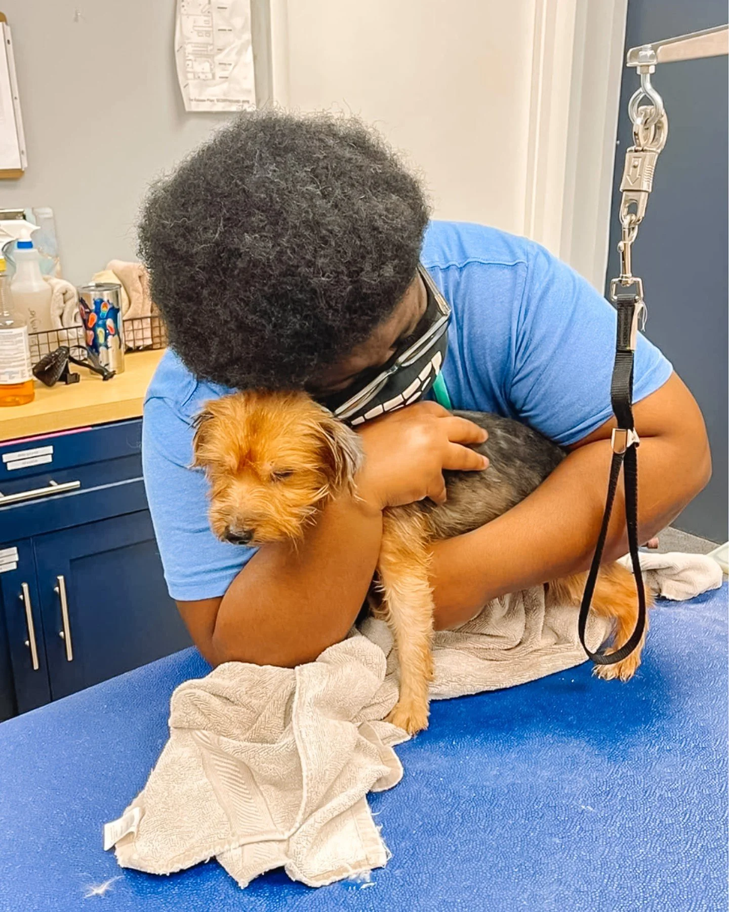 Clean Start was made for this moment. ❤️‍🩹 These rescue pups came in through one of Scenthound's shelter partners and received a Basic Hygiene visit so they could feel comfortable, healthy, and ready for adoption.
Gentle and patient hands, clea