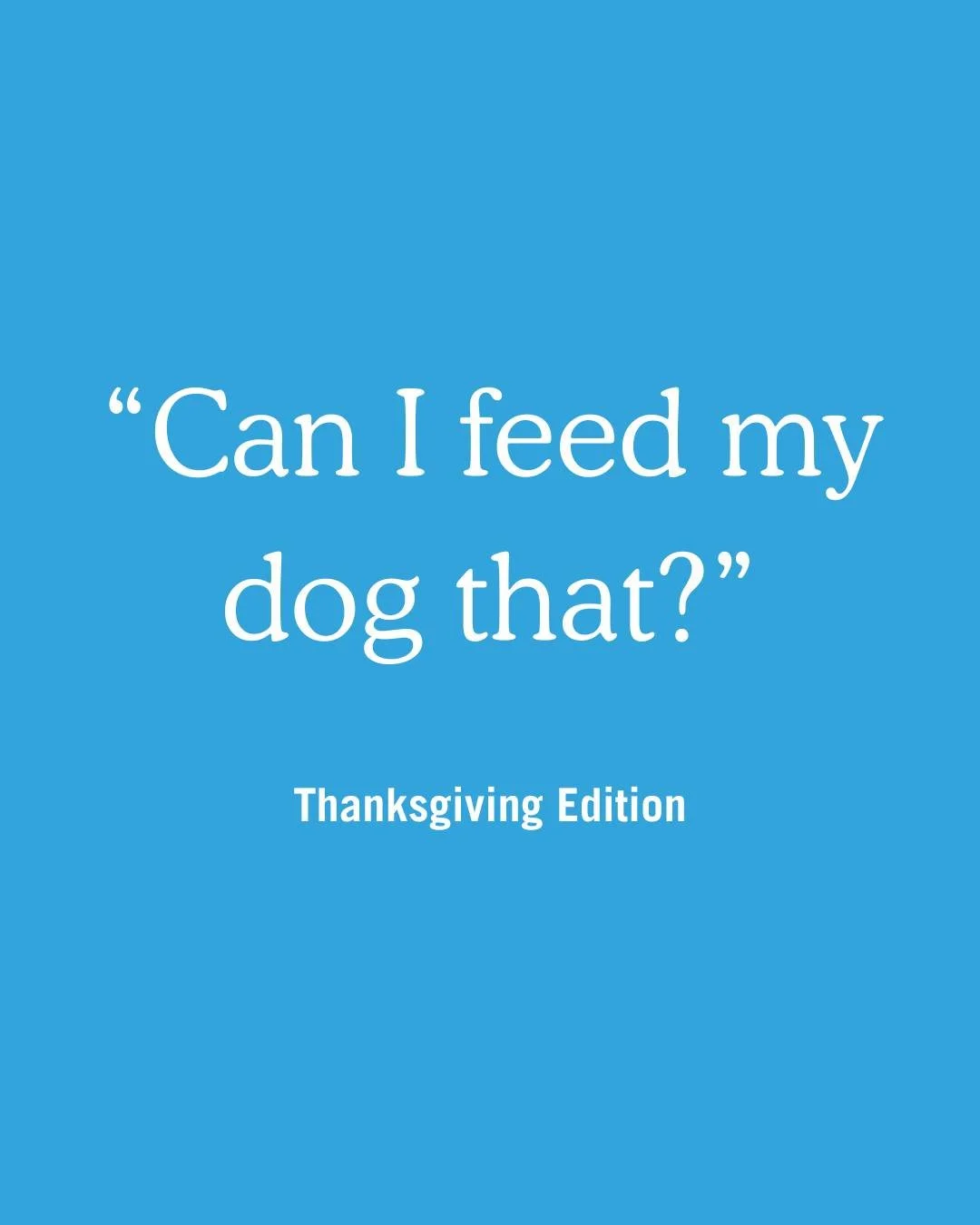 Sometimes Thanksgiving puts us in the sharing mood (same). If you build a pup plate, keep it tiny and plain: turkey without skin or bones, simple non-seasoned veggies like green beans, pumpkin, or sweet potato. Skip rich sides and desserts. When in d