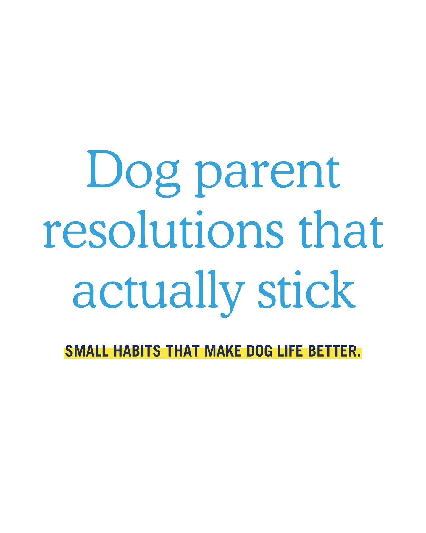 Just small habits that make dog life better. ✨ 🪩 Save this for January