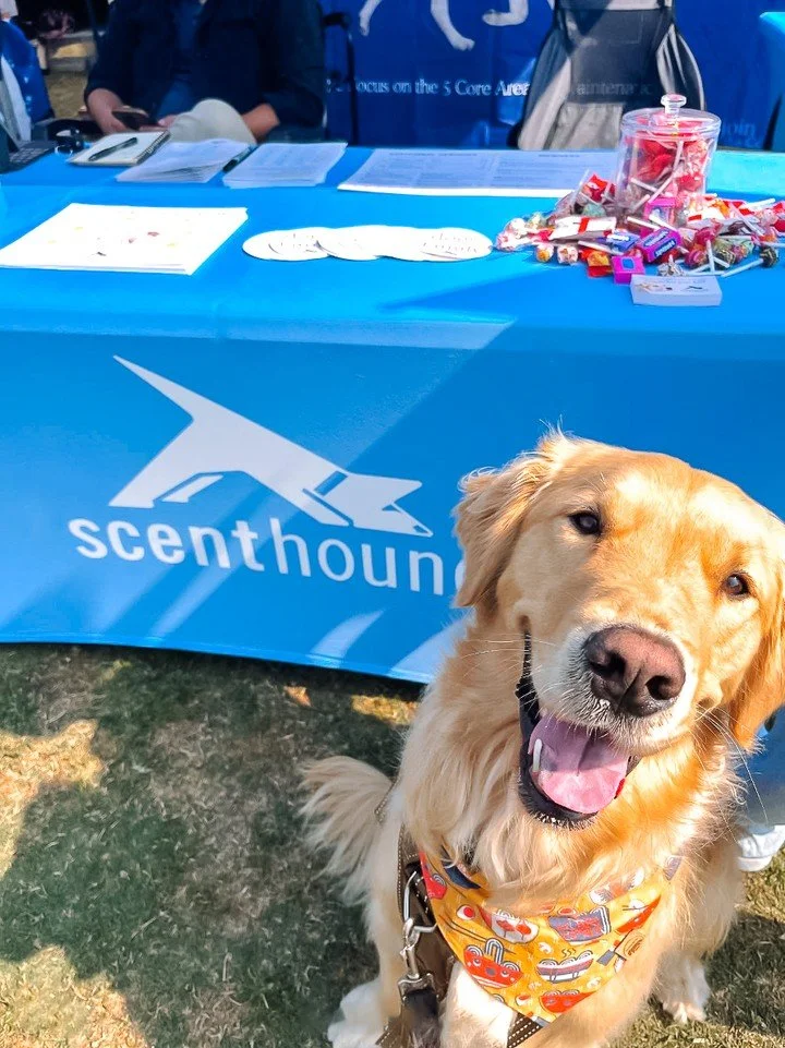 Member spotlight: that &ldquo;clean teeth&rdquo; smile. Looking good @raisingramen! 🤩 

 

Share your pups' post routine hygiene with us! Tag @scenthound for a feature.