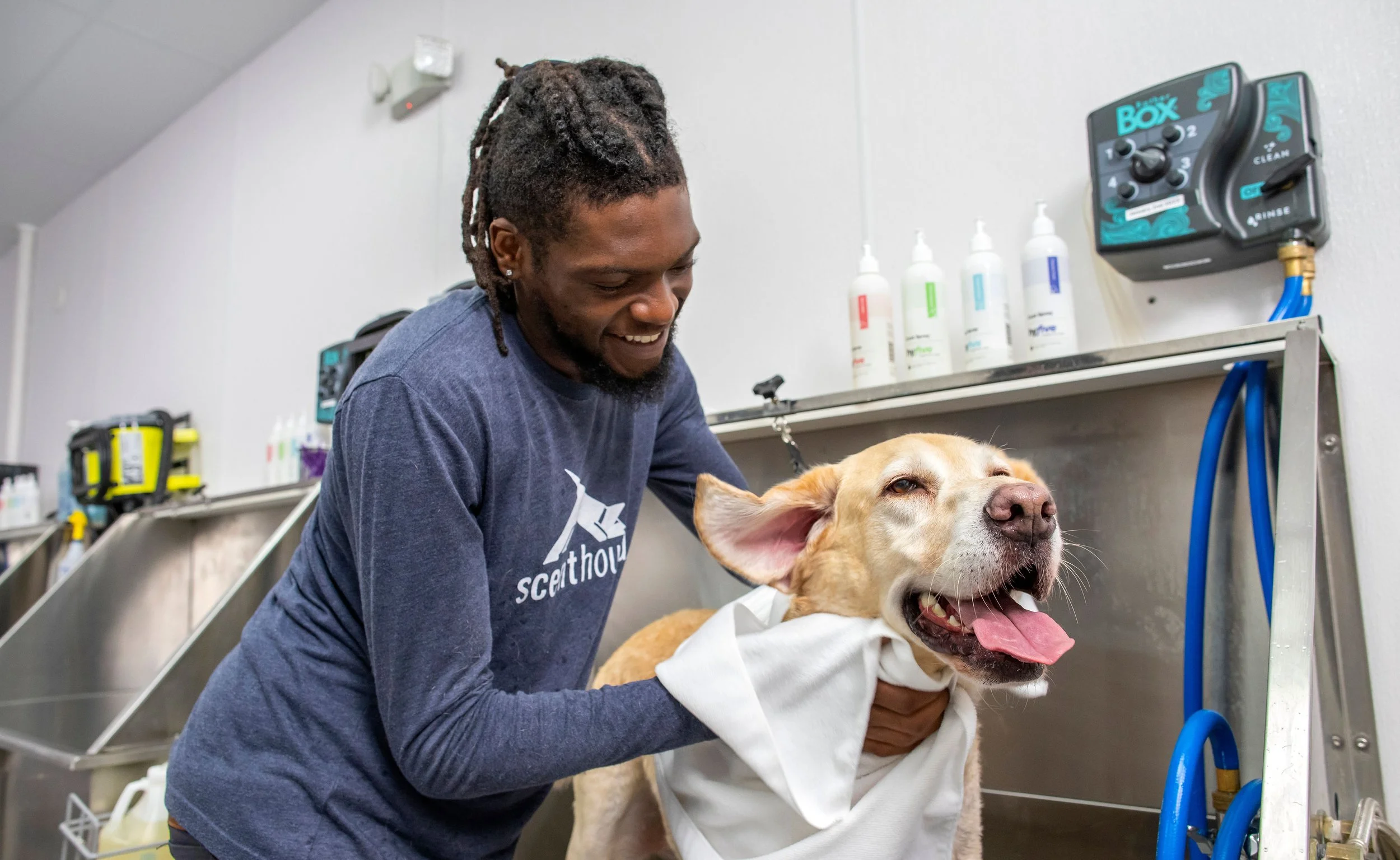 Beyond Bathing: Why Routine Hygiene is Essential for Your Dog's Health