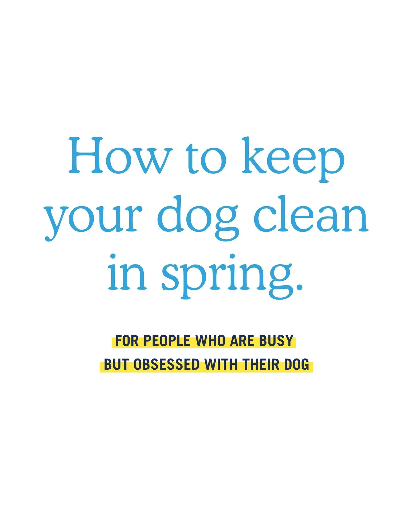 Spring is cute until your dog comes back inside wearing the yard. 🌼 🍃

A few habits that make a real difference.

Keep a towel by the door
Quick wipe down on paws and belly after outside time
Brush before bath days so you&rsquo;re not battling tang