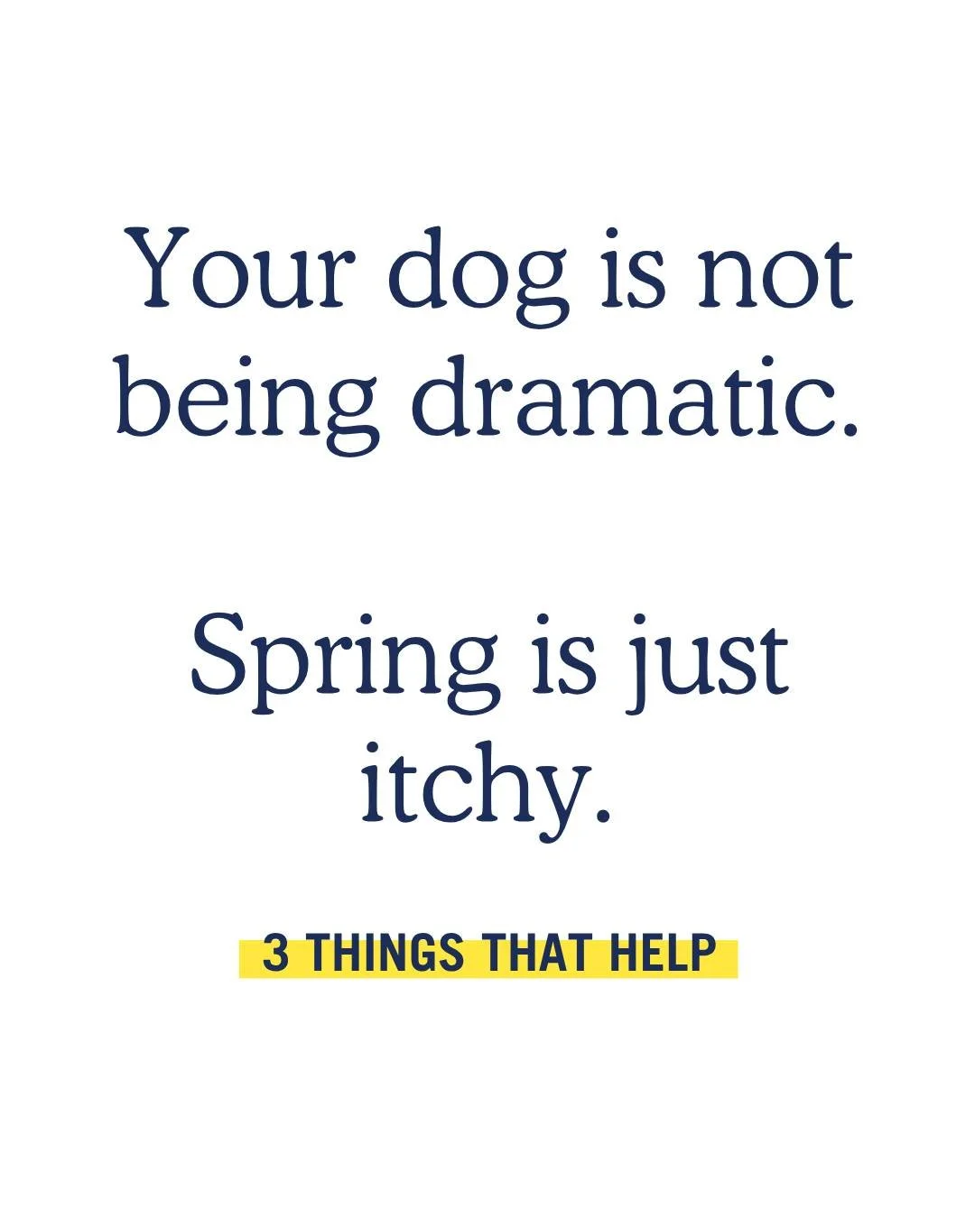 If your dog is suddenly scratching more, spring can be doing the most. 🌷 🌻 🪻 Pollen + outdoor stuff sticks to the coat and can hang out on the skin. 

💌 Save this for the &ldquo;why are you itchy??&rdquo; week.