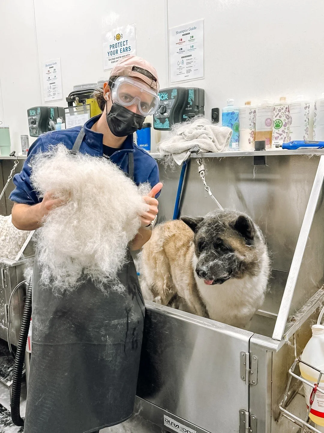 How does this much fur come off of one dog 😭 ☁️ Shoutout to the team at Scenthound Miami for handling the fluff situation like pros. 

If your dog is shedding like crazy right now, it&rsquo;s usually a mix of seasonal coat changes and buildup (dead 
