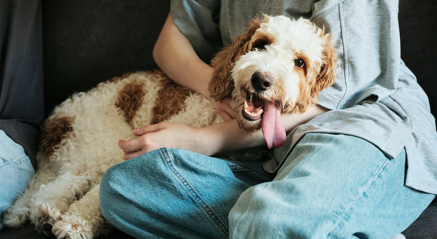 Noticing a New Smell on Your Dog? Here’s What It Could Mean