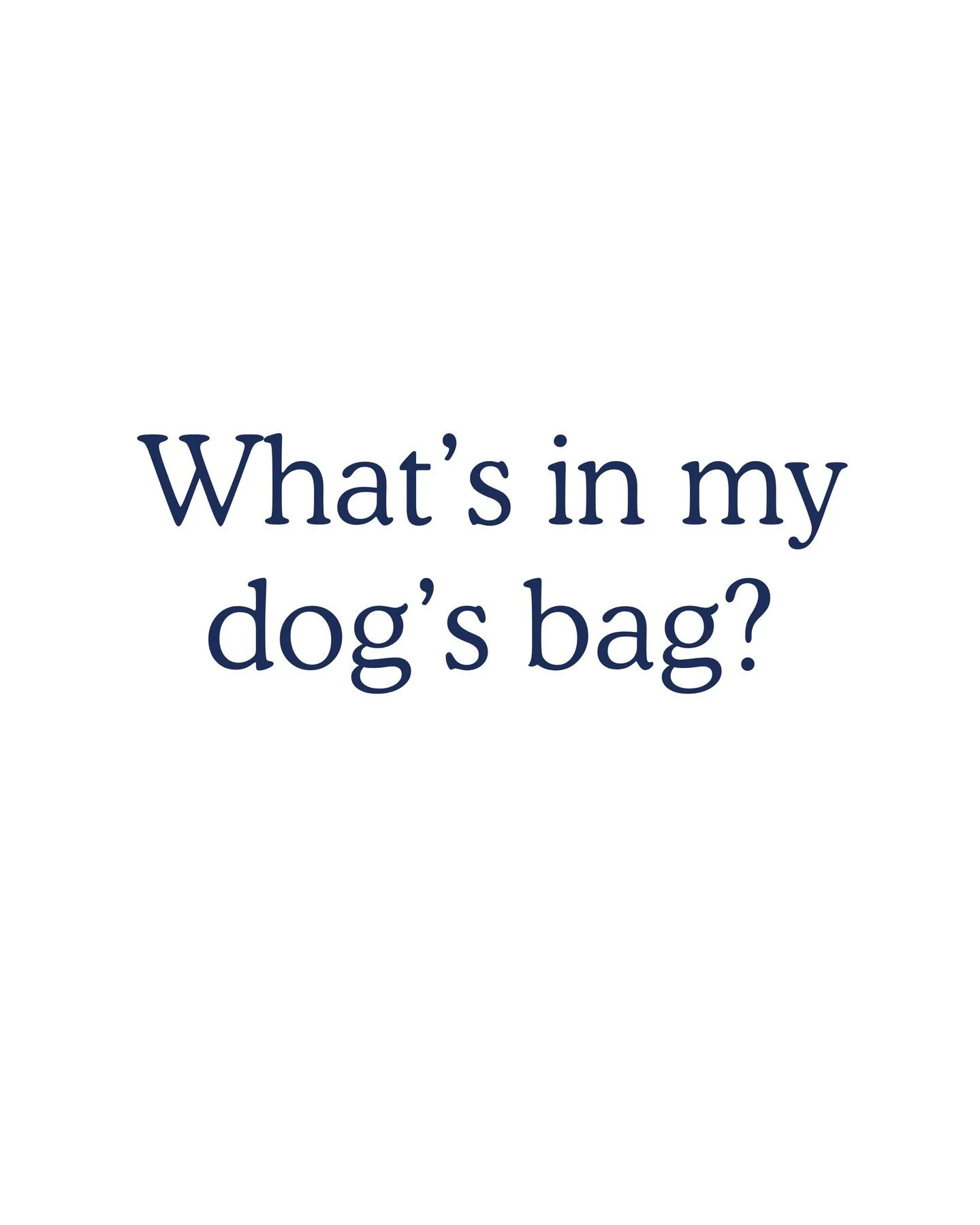 Basically, everything a pup needs to survive all the fun summer outings ☀️🐾
What are we missing?