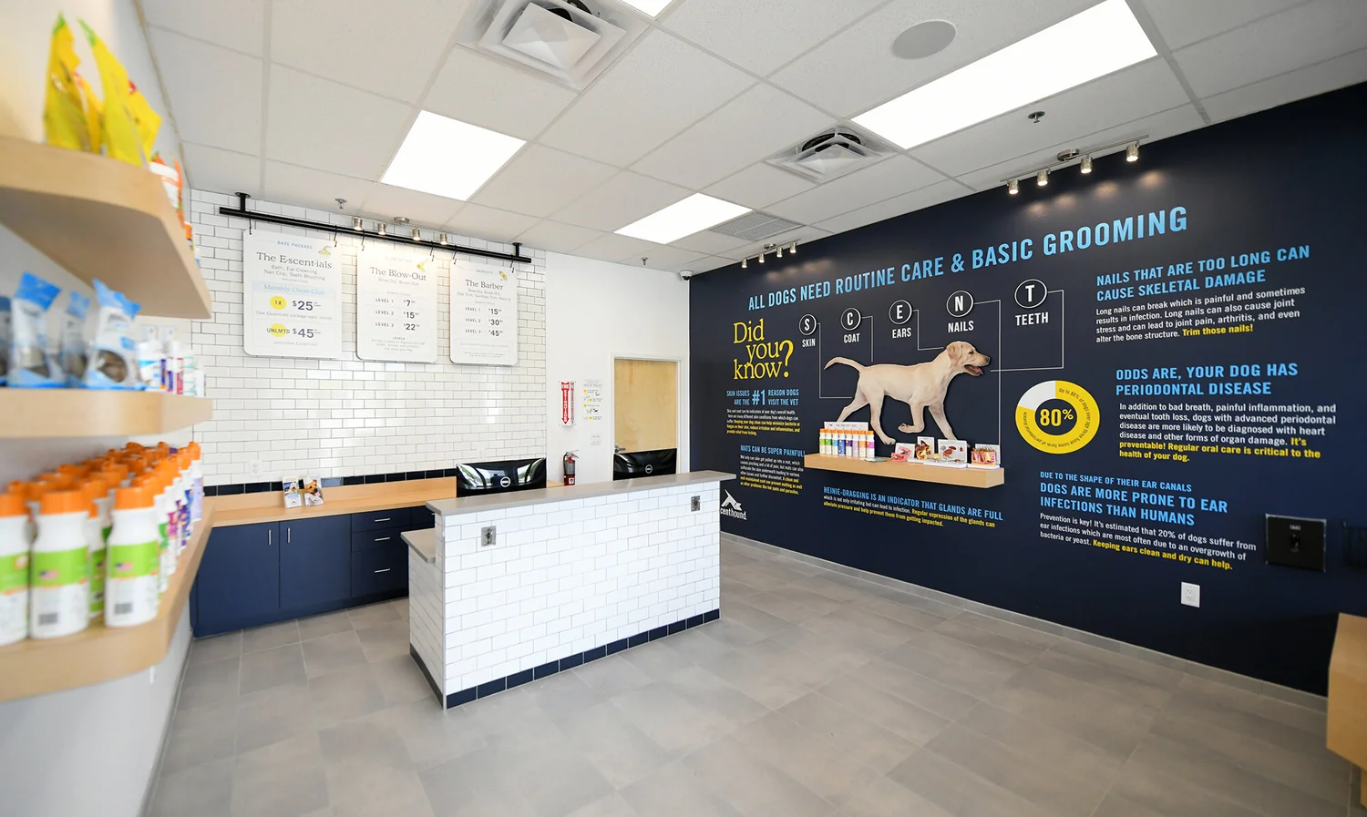 View of Scenthound Apex: Affordable Dog Grooming Services