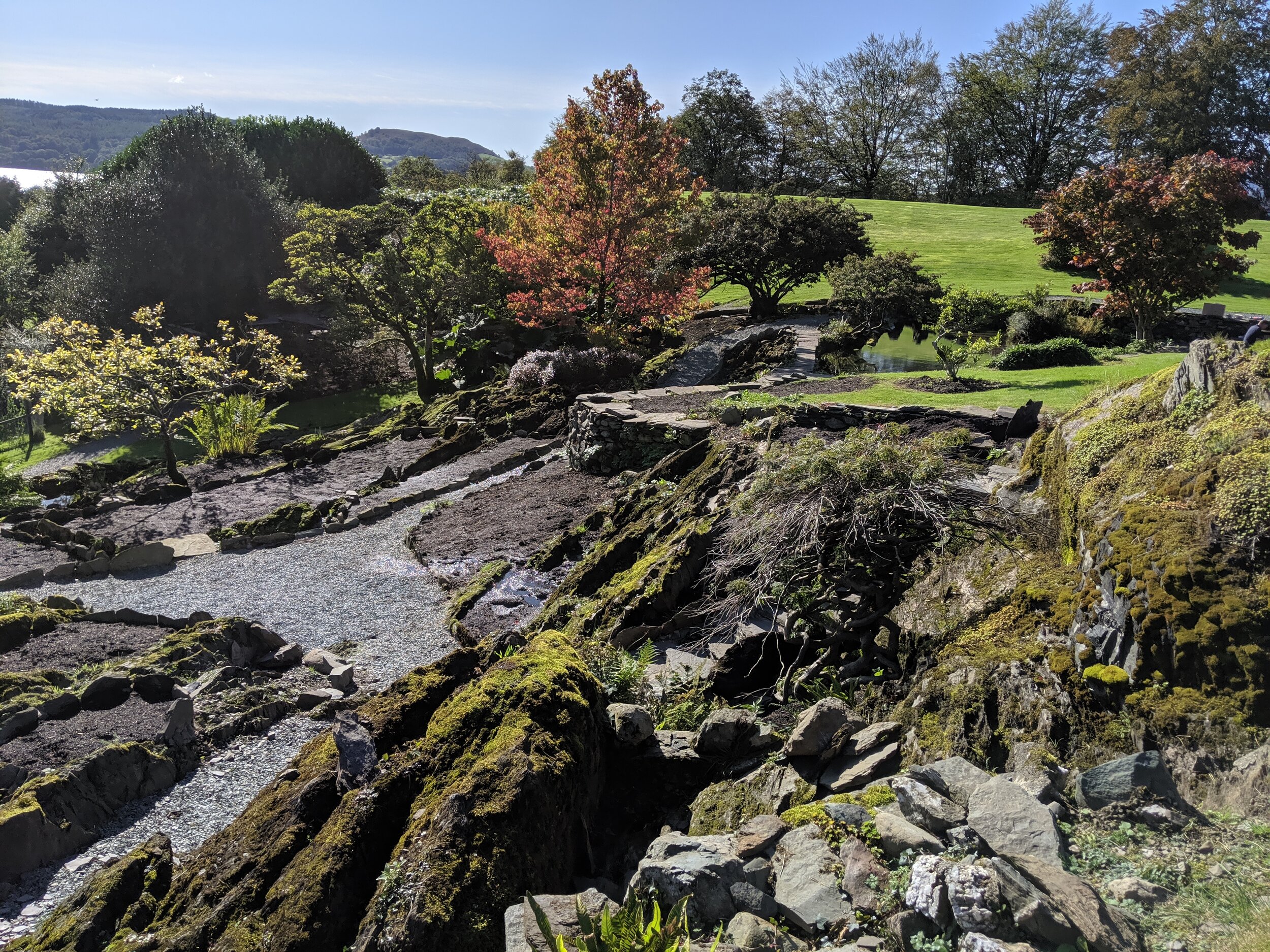 MVIMG_20191002_133429.jpg