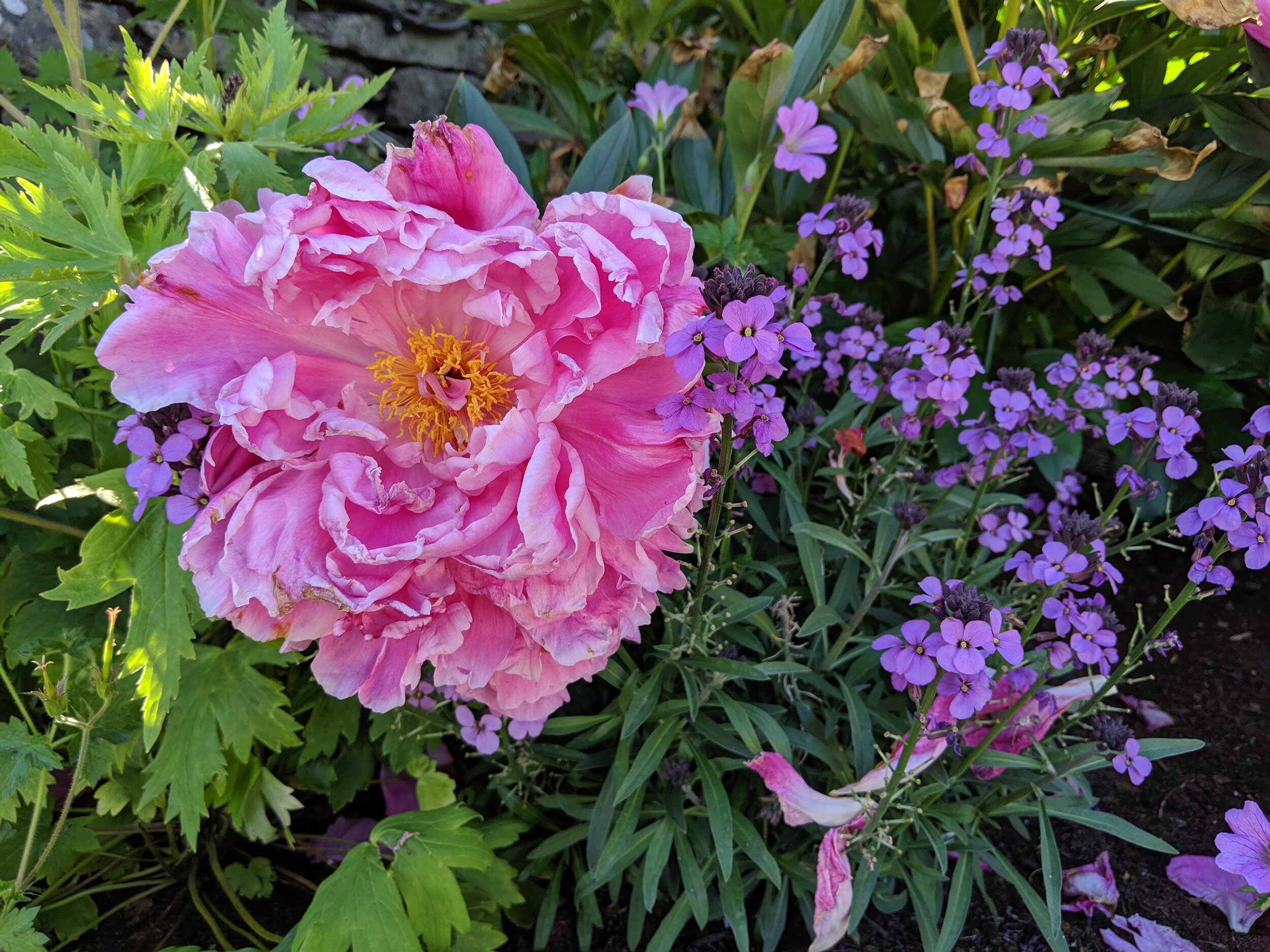 MVIMG_20190621_174055.jpg
