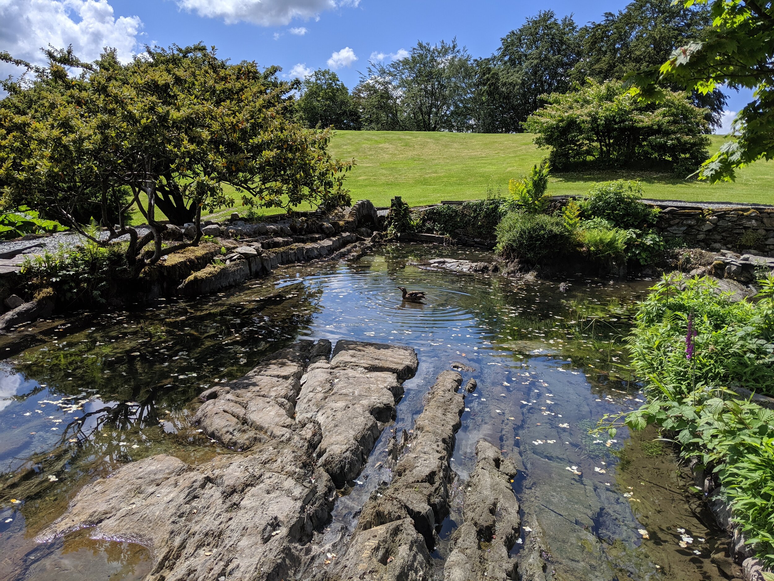 MVIMG_20190606_133526.jpg