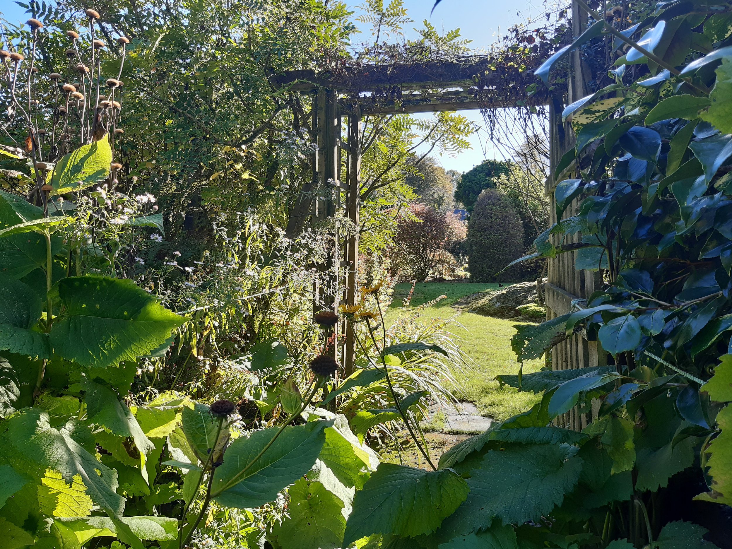20221018_134235.jpg