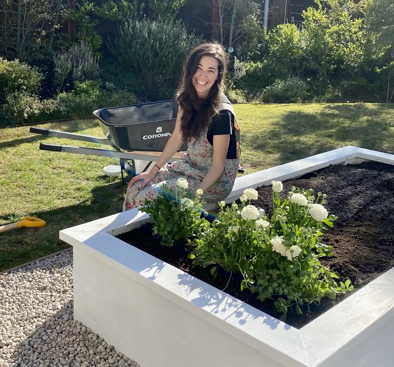 Why I Started the Flower Remedy