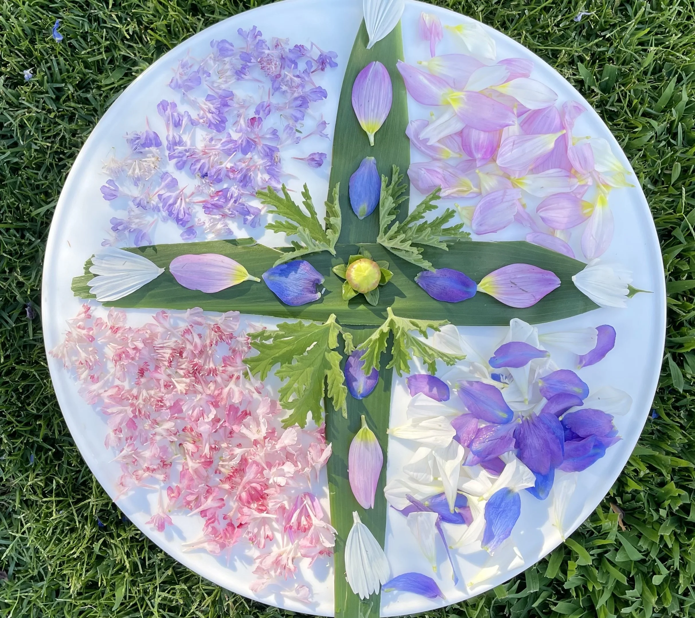 Mindful Gardening Activity: Creating a Nature Mandala with Flowers