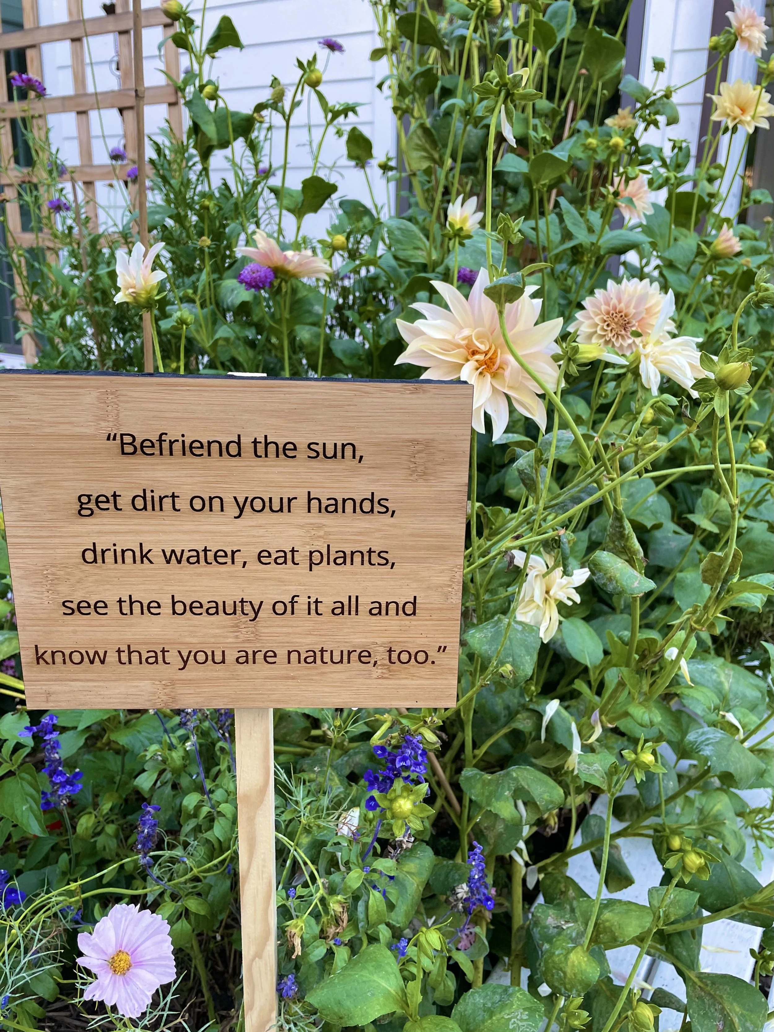 Mindful Garden Sign Ideas