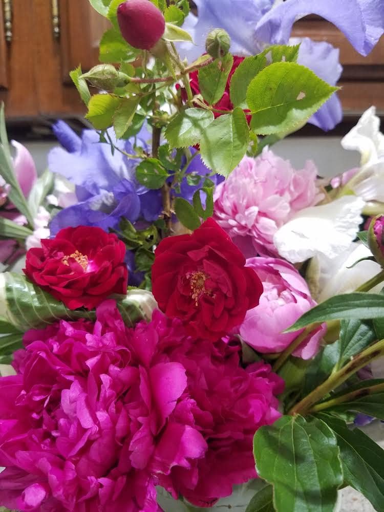 The Power of Flowers: A Story by Anni Welborne