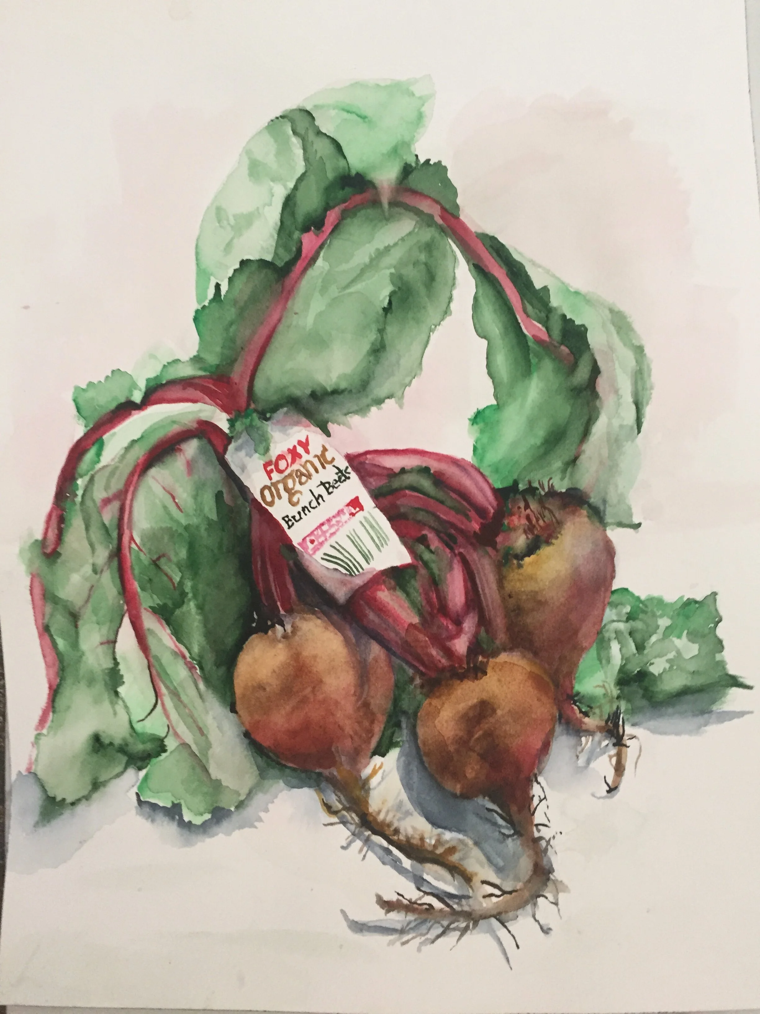 Foxy Organic Beets Watercolor 16 x 12