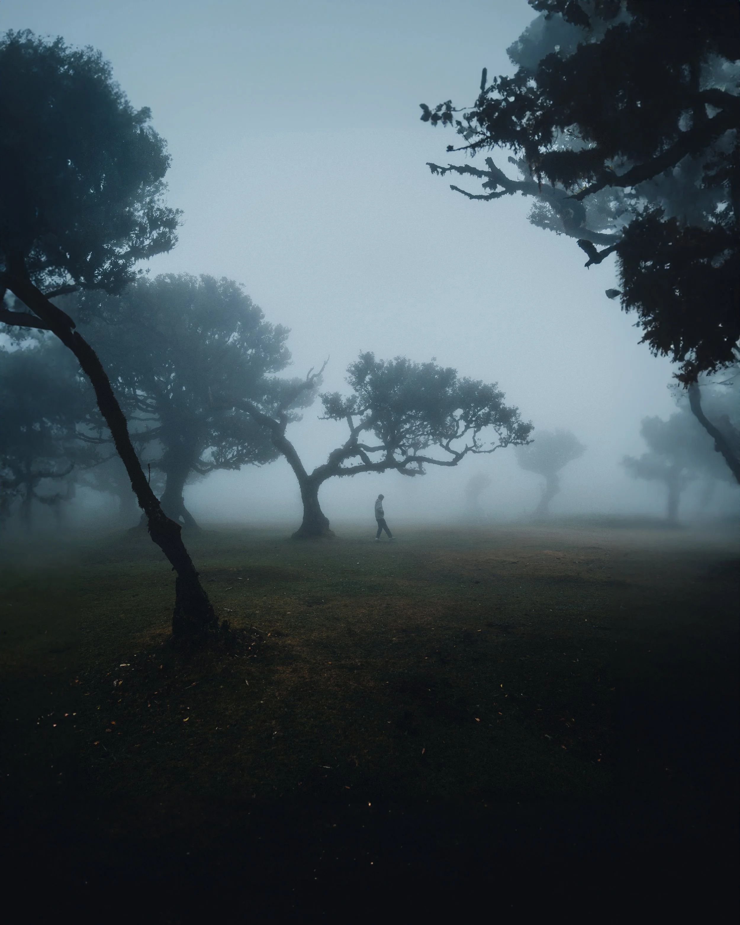 FairFrames-04216 edit.jpg