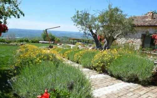 garden 2.JPG