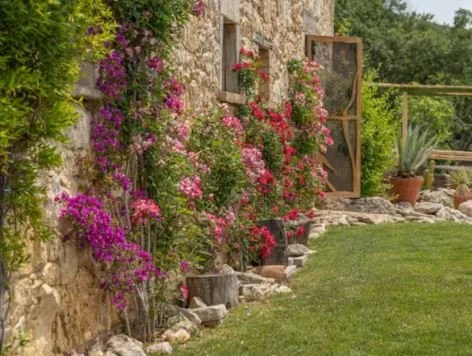 Garden 3.JPG