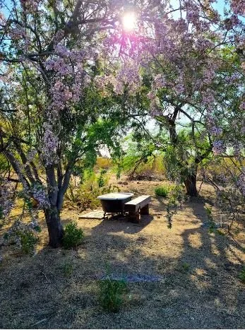 outside garden - Copy.JPG