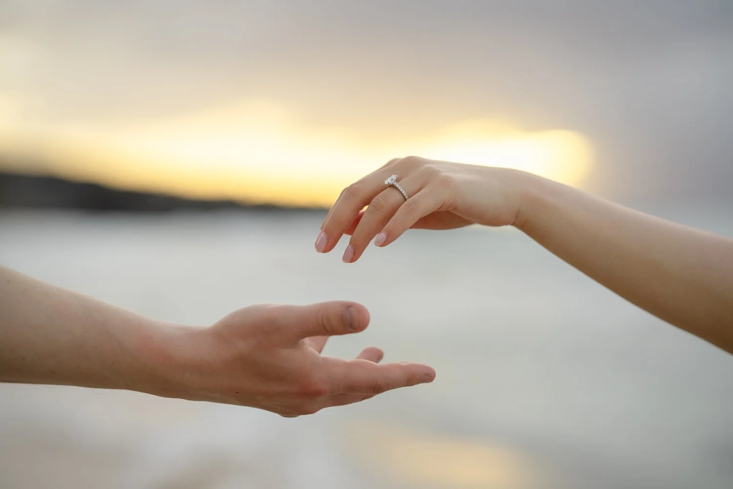 Windswept Love: A Surprise Maui Proposal