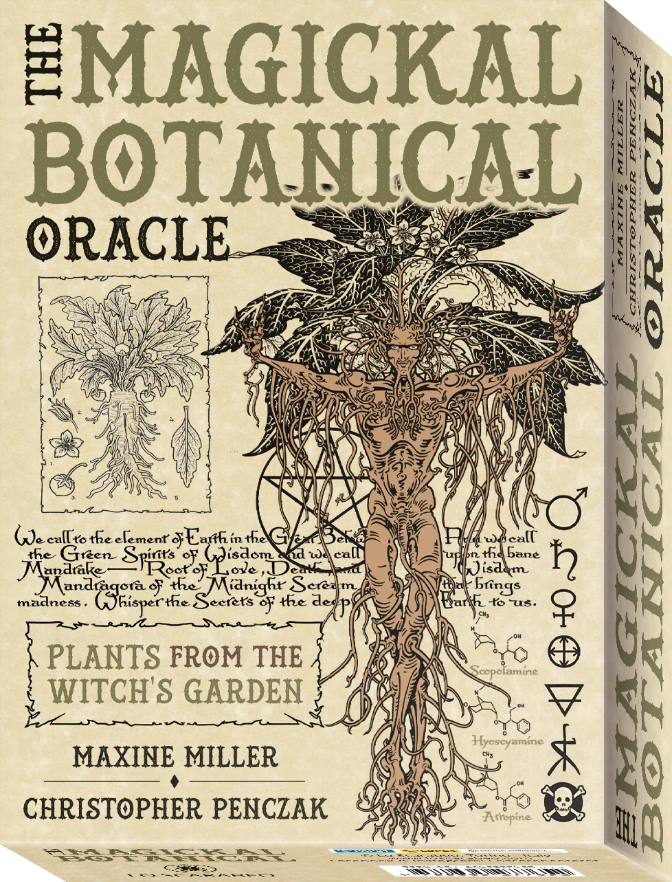 The Magickal Botanical Oracle: Plants from the Witch's Garden
