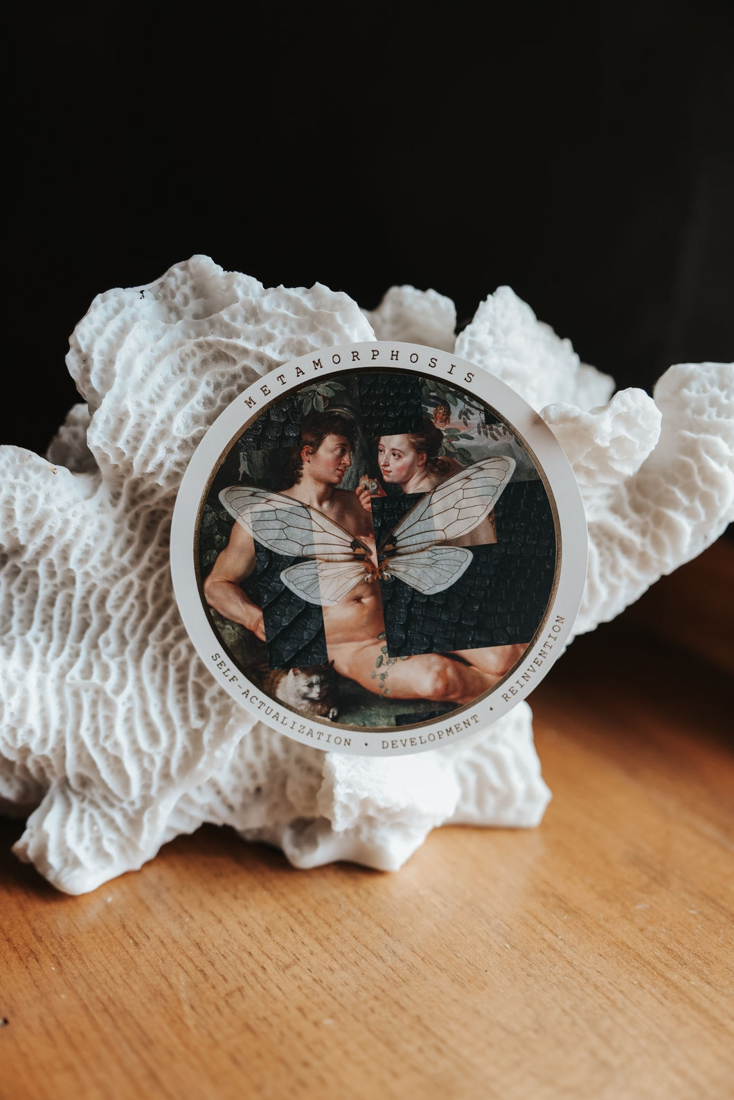 fff634d04ce9d46c3239b1f22607ae842485c7fbb3d86acbd7e1bc1a68950877 (1).png